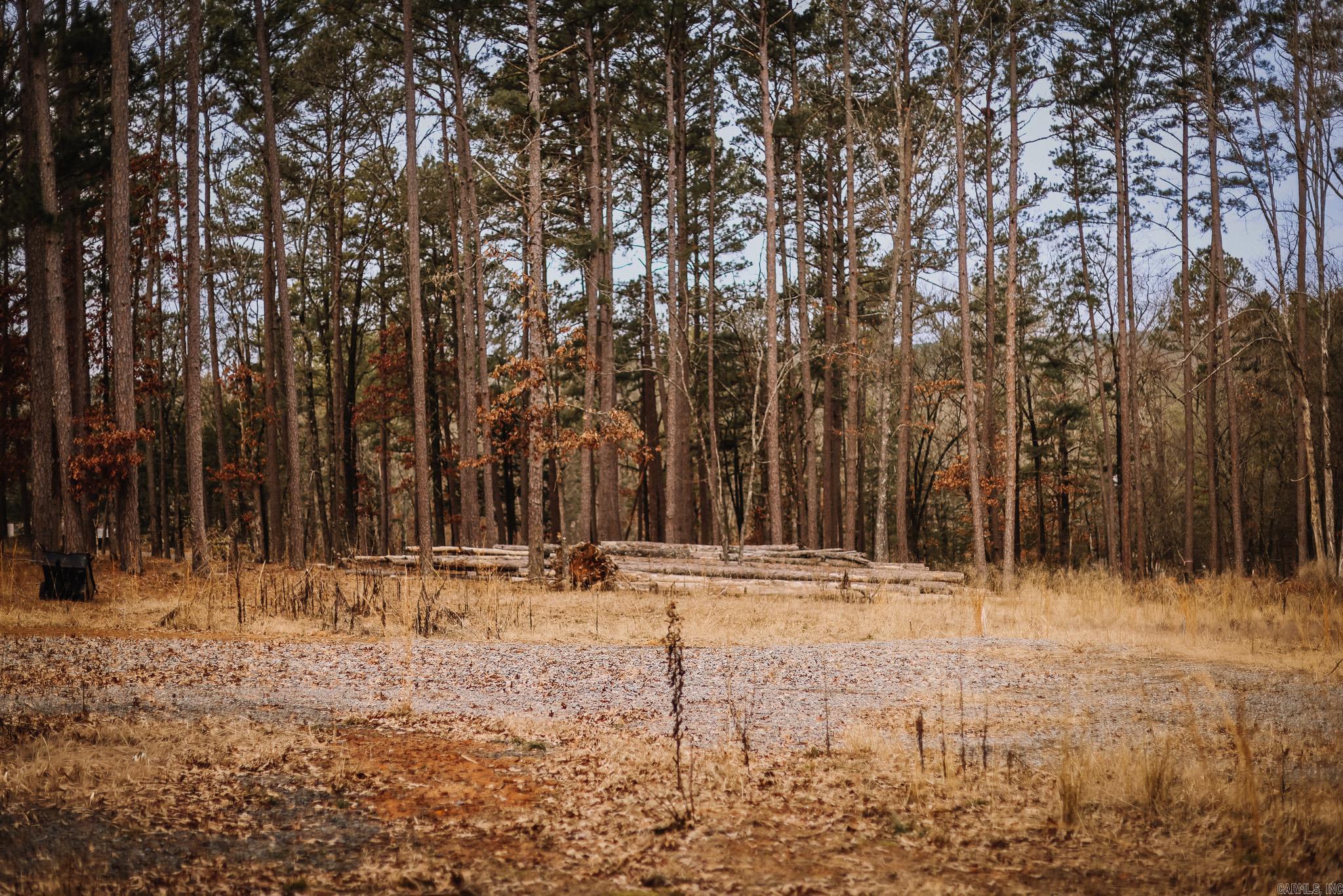 Driftwood Shores Estates - Land