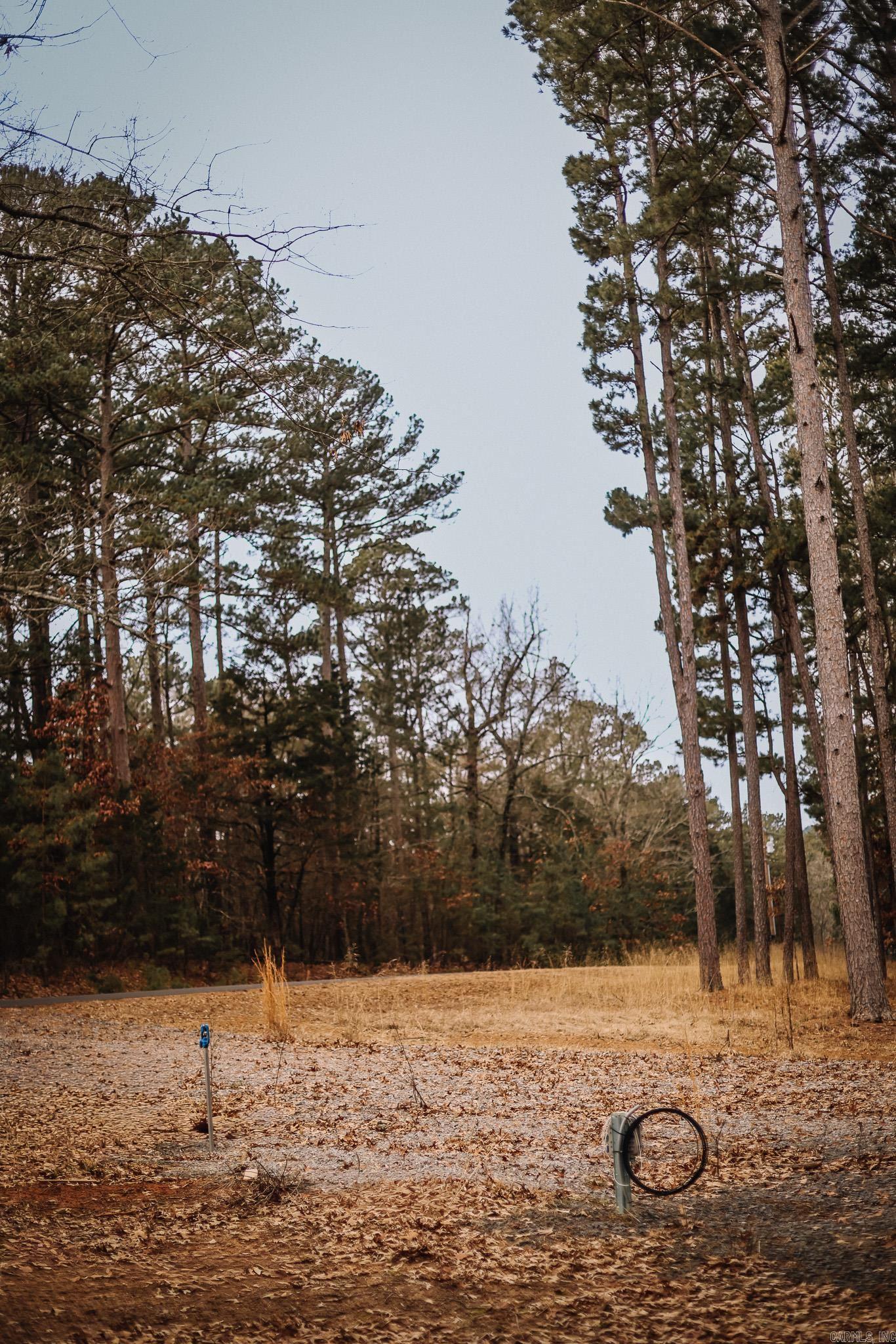 Driftwood Shores Estates - Land