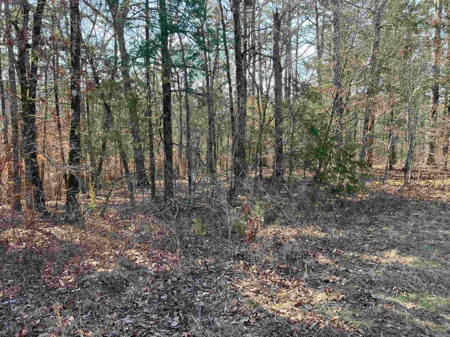 4.11 acres close to Pencil Bluff. Five minute walk to Ouachita River or ride your 4 wheeler or side by side. Access is for property owners only. Great place to swim, picnic or just take it easy! This wooded property is ready to build a home on. 10 minutes to hiking/biking trails.20 minutes to Lake Ouachita. 50 minutes to Hot Springs. Short drive to several Crystal mines. Close to Ouachita National forest. If you are looking for rural property, you need to look at this! Deed restrictions are on the property.