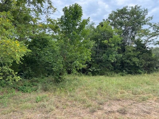 PINEDALE DR, SALEM, AR 72576 - Image a0a4a94bed4ce91f50f737bfa2f415ea/343407479
