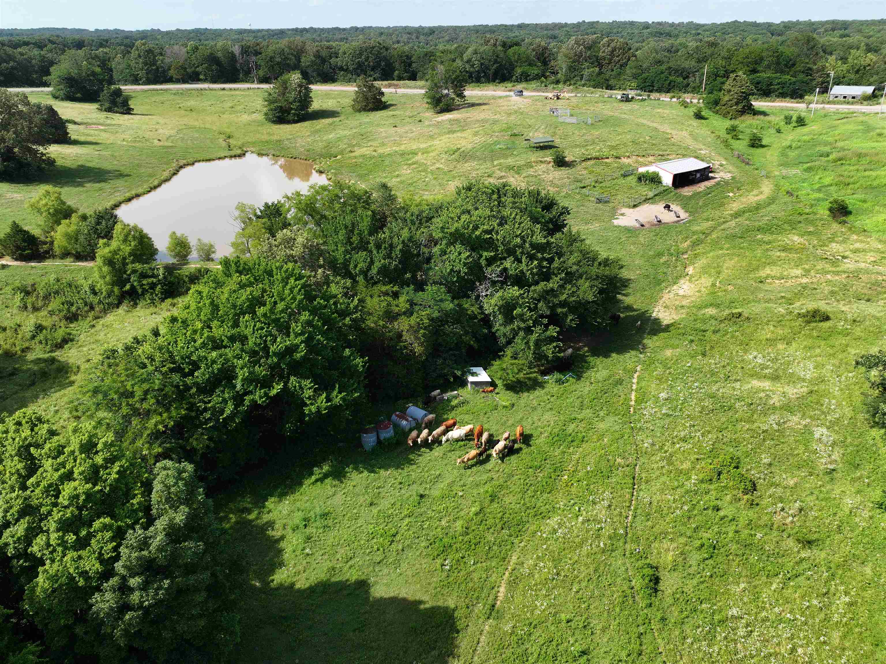 Welcome to your slice of rural paradise! Nestled in Cross County, AR, this expansive 85-acre tract of pastureland offers a rare opportunity to own a piece of the highly sought after Crowley's Ridge. With gently rolling terrain, mature trees, and lush, established grasses, this land is well-suited for livestock, hay production, or future development. A large pond adds charm and function, providing a water source for livestock or a relaxing spot to cast a line. Whether you're looking to expand your ag/livestock operation, build your dream home with a view, or invest in quality land, this property checks all the boxes. Bordered by natural tree lines this acreage provides both functionality and serenity. Property also includes a small barn. Utilities available nearby make building a breeze, and road frontage offers easy access year-round.