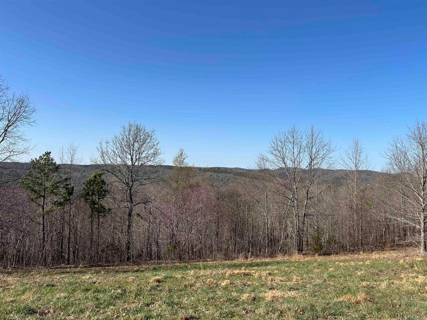 Mountain views for miles! Build your dream home on this acreage conveniently located between the Stone County Courthouse Square at Mountain View and the White River at Allison/Sylamore and just minutes from the Ozark National Forest. Water, electric, internet at the street. 1000 sq ft minimum, no manufactured housing. Additional tracts also available for purchase.