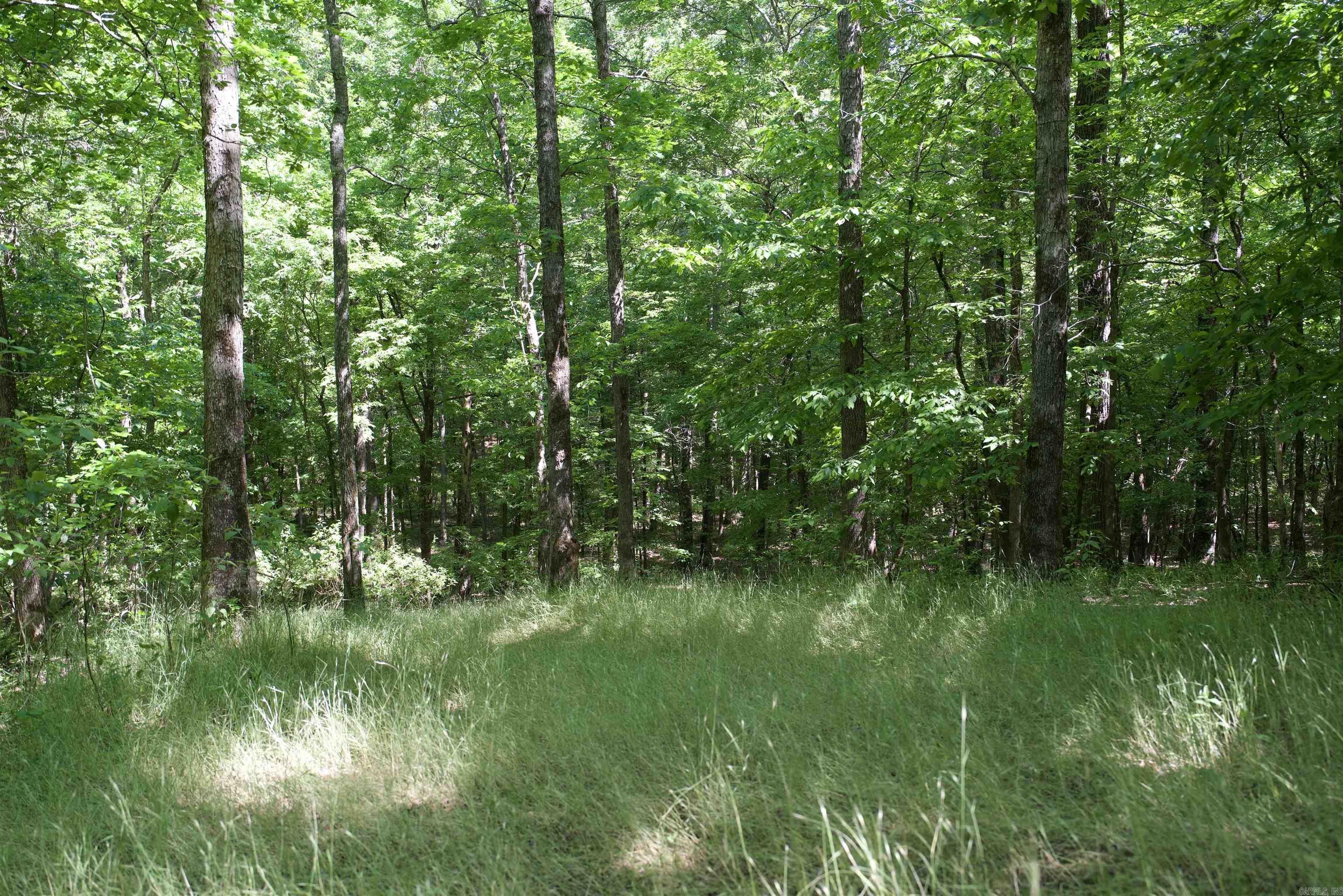 Pike County - Land