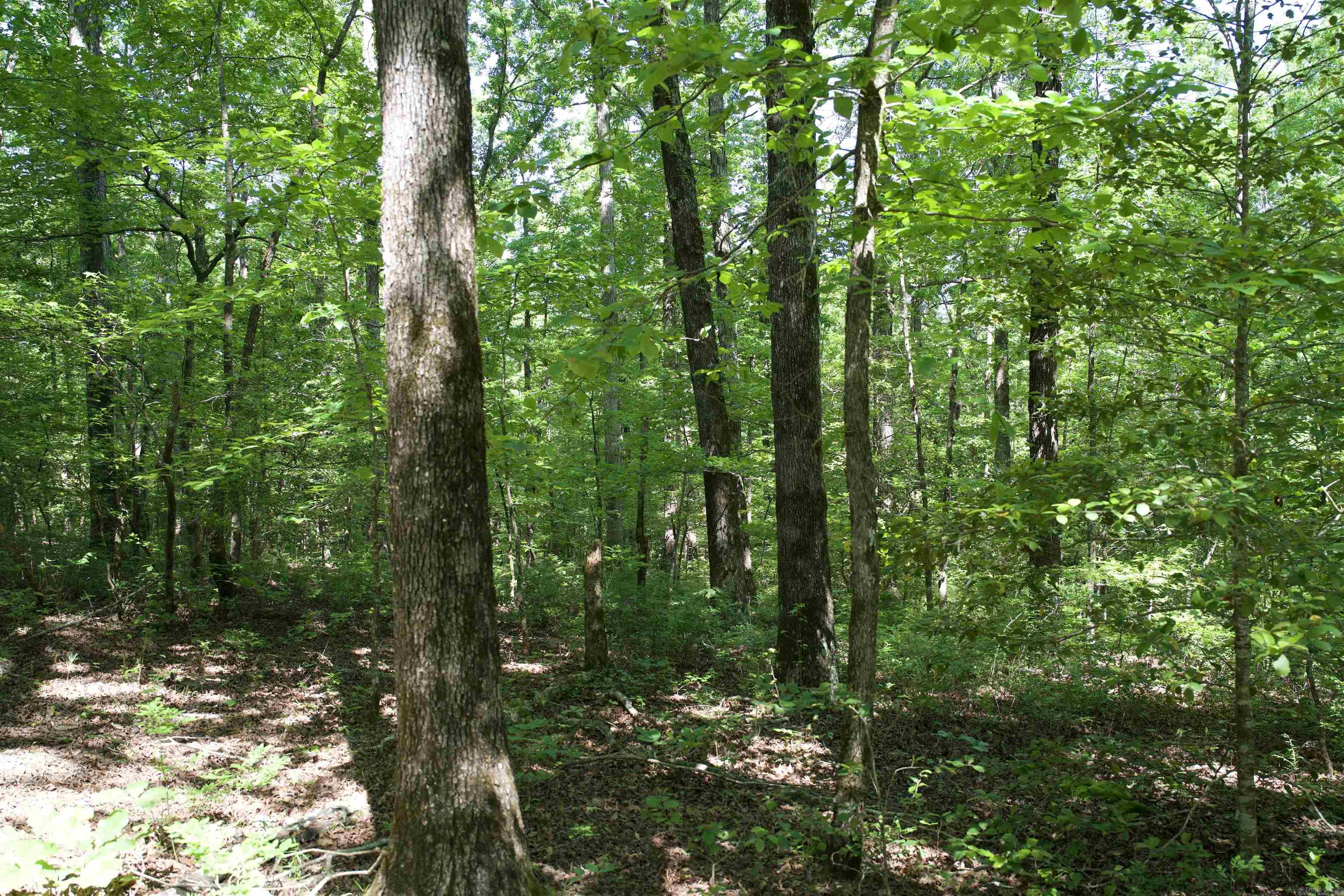 Pike County - Land