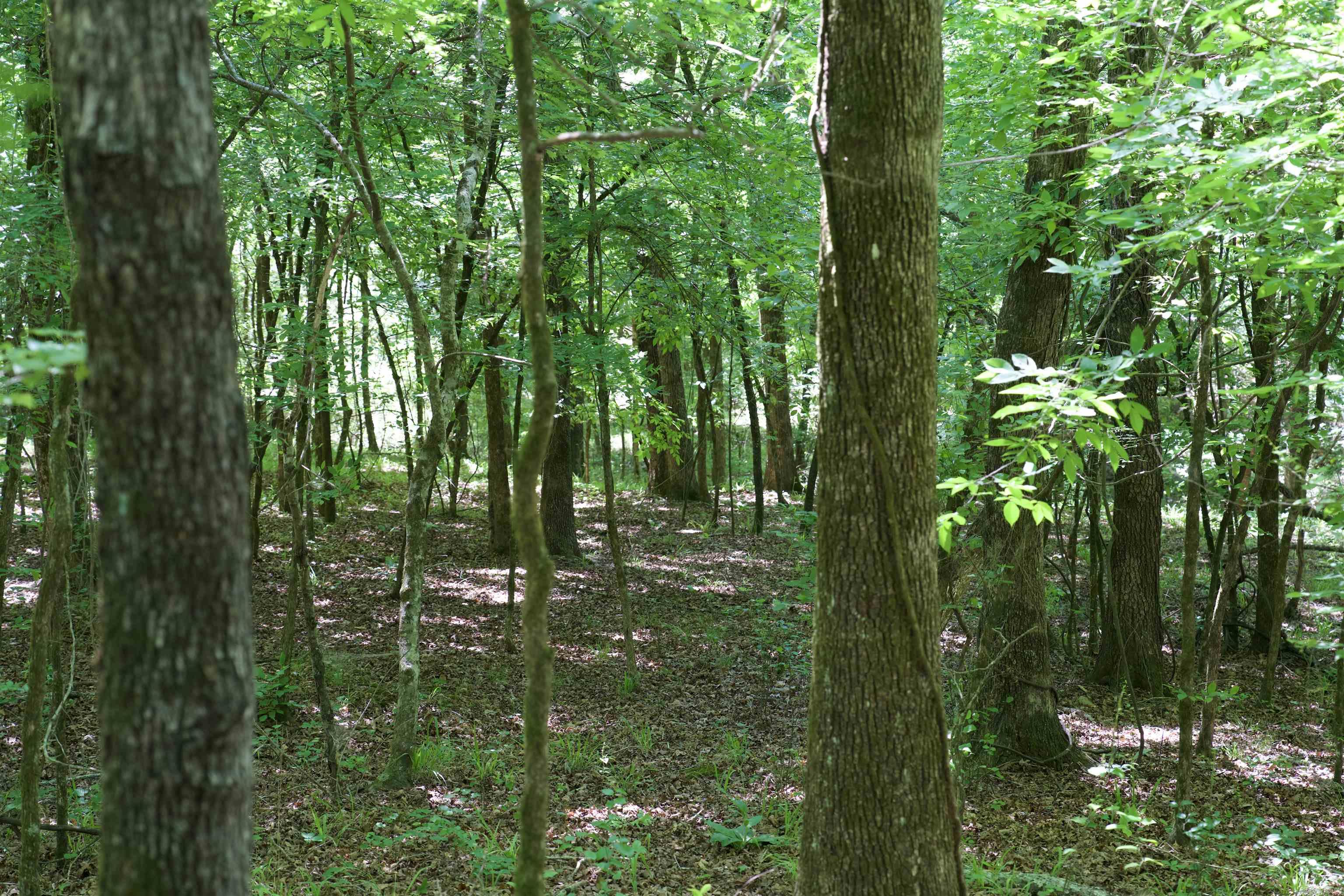 Pike County - Land