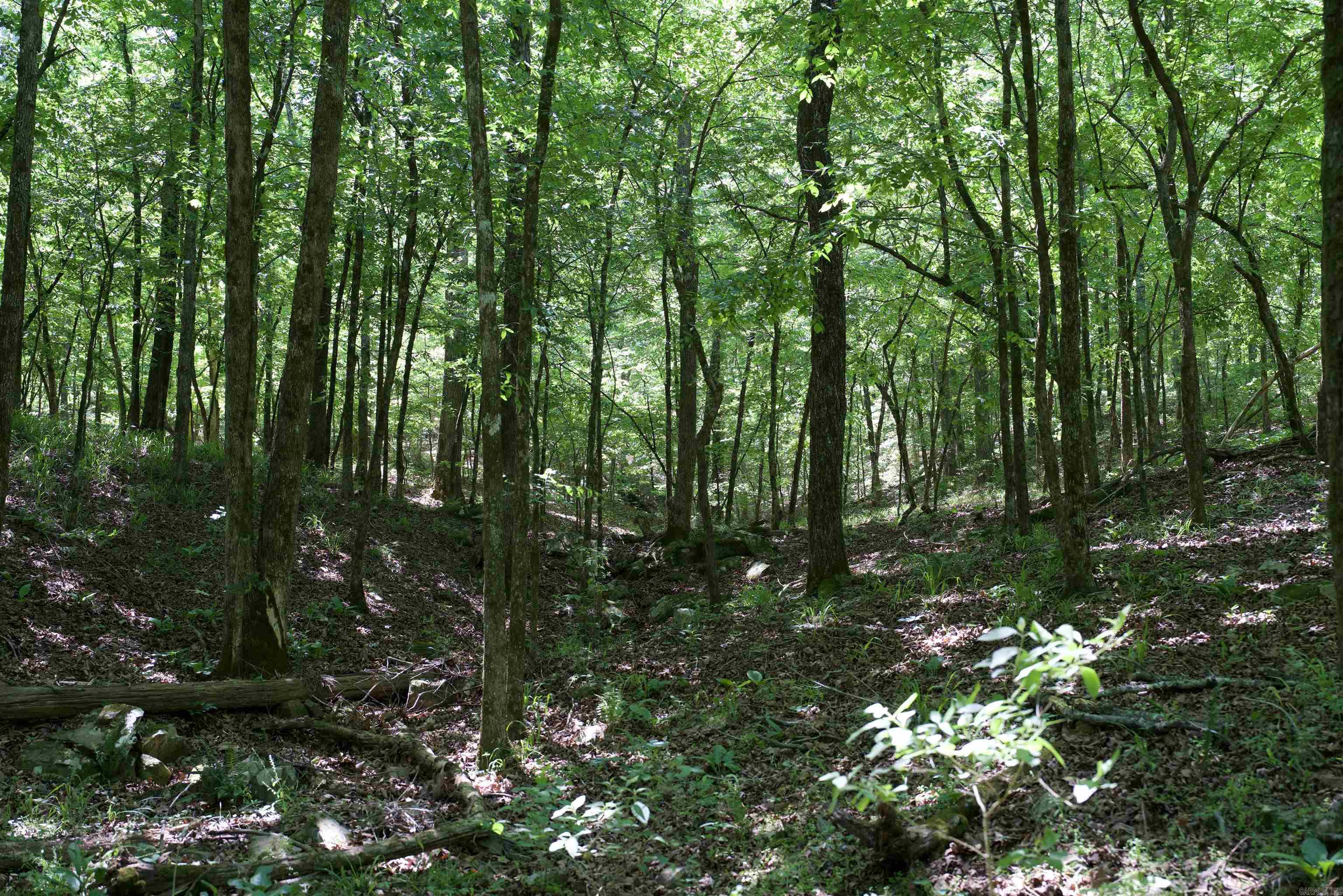 Pike County - Land