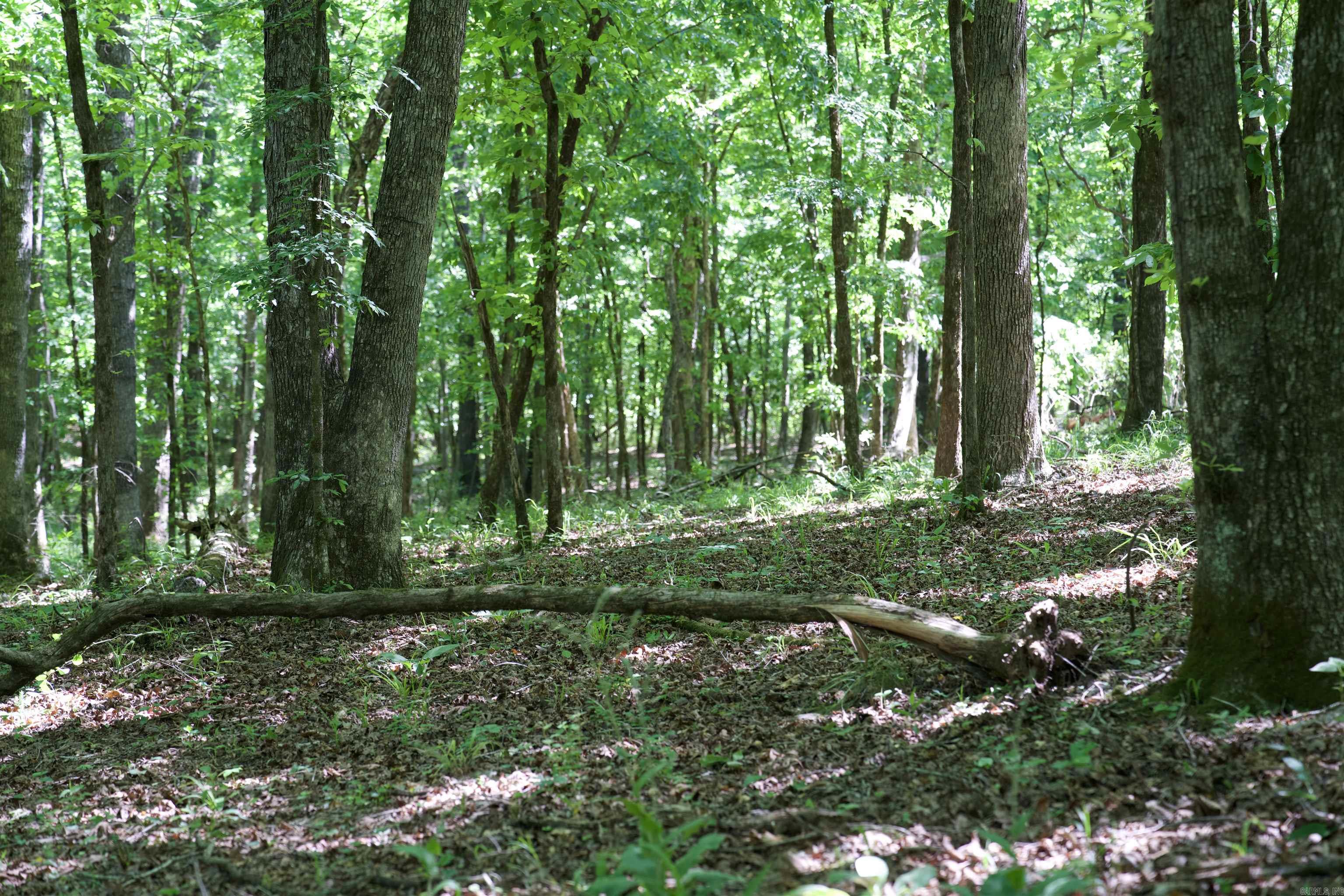 Pike County - Land