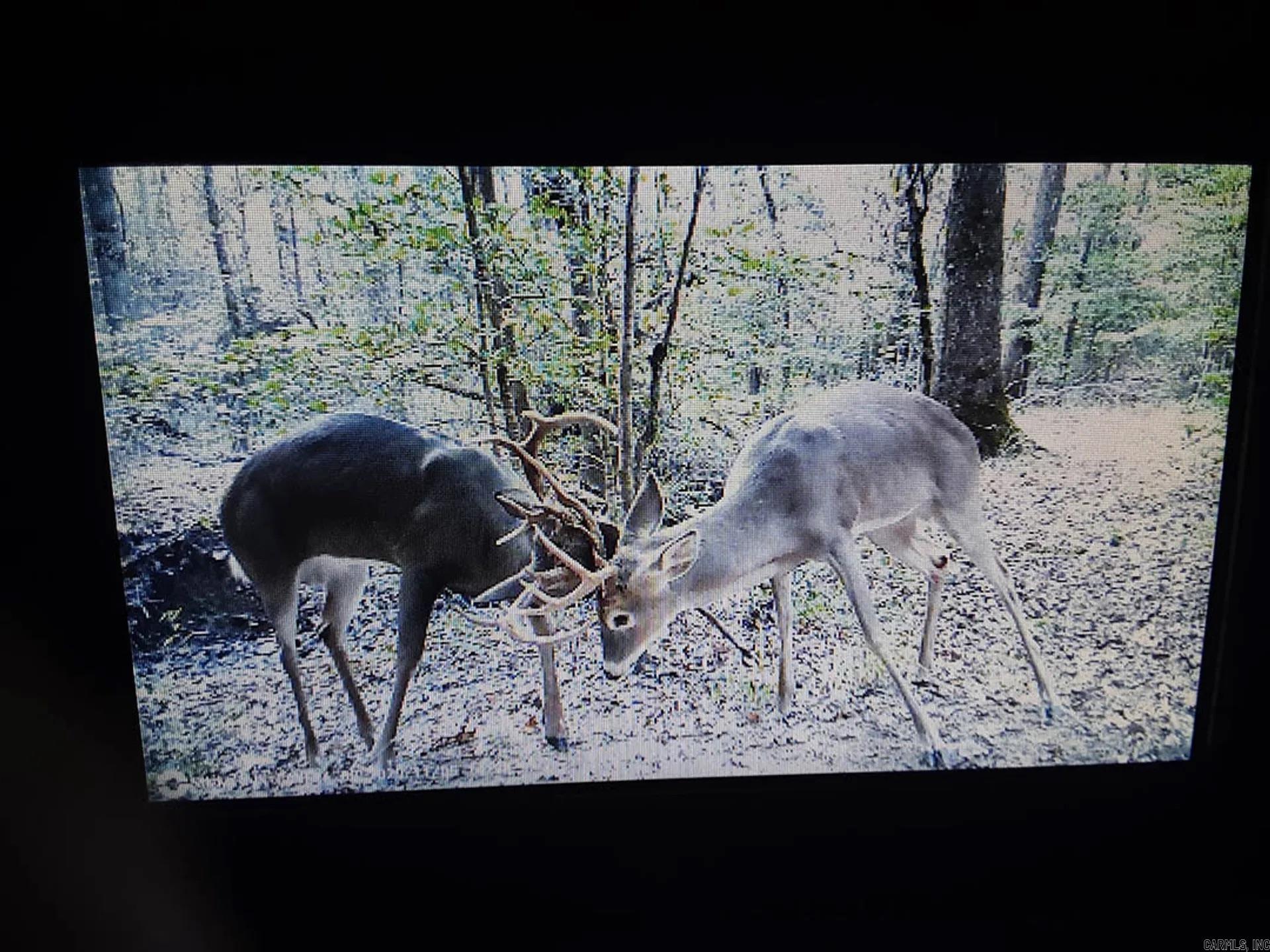Pike County - Land