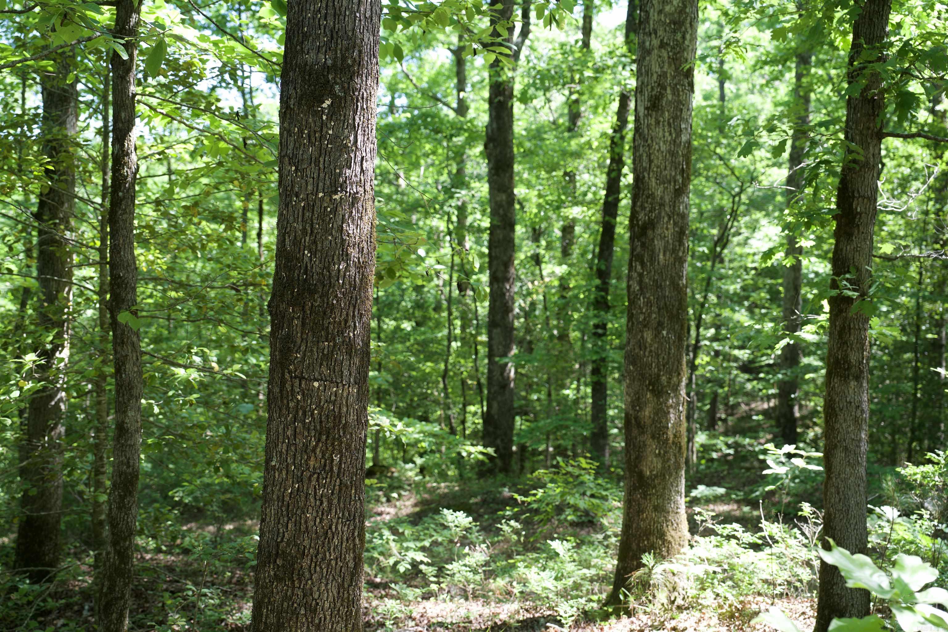 Pike County - Land