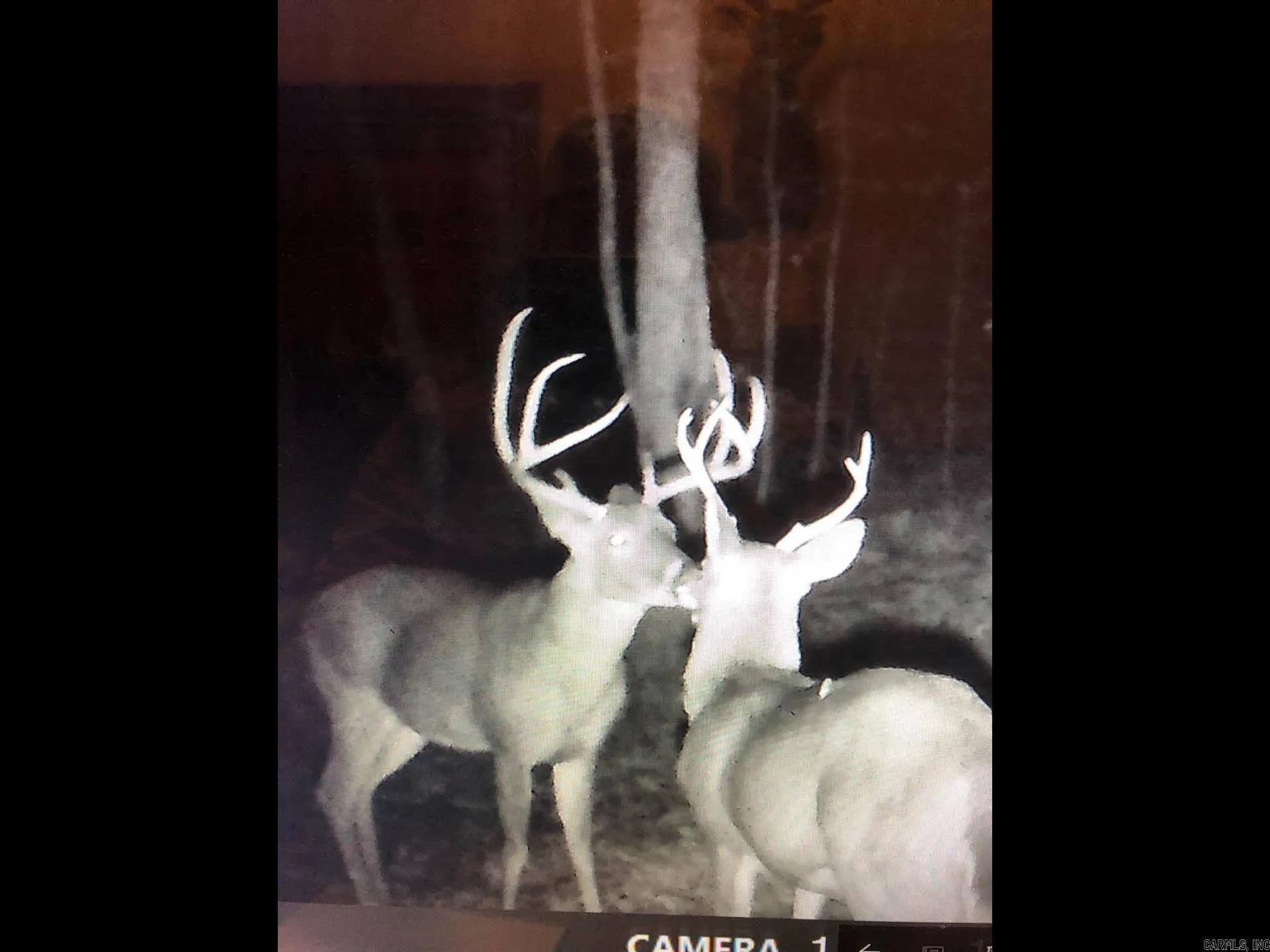 Pike County - Land