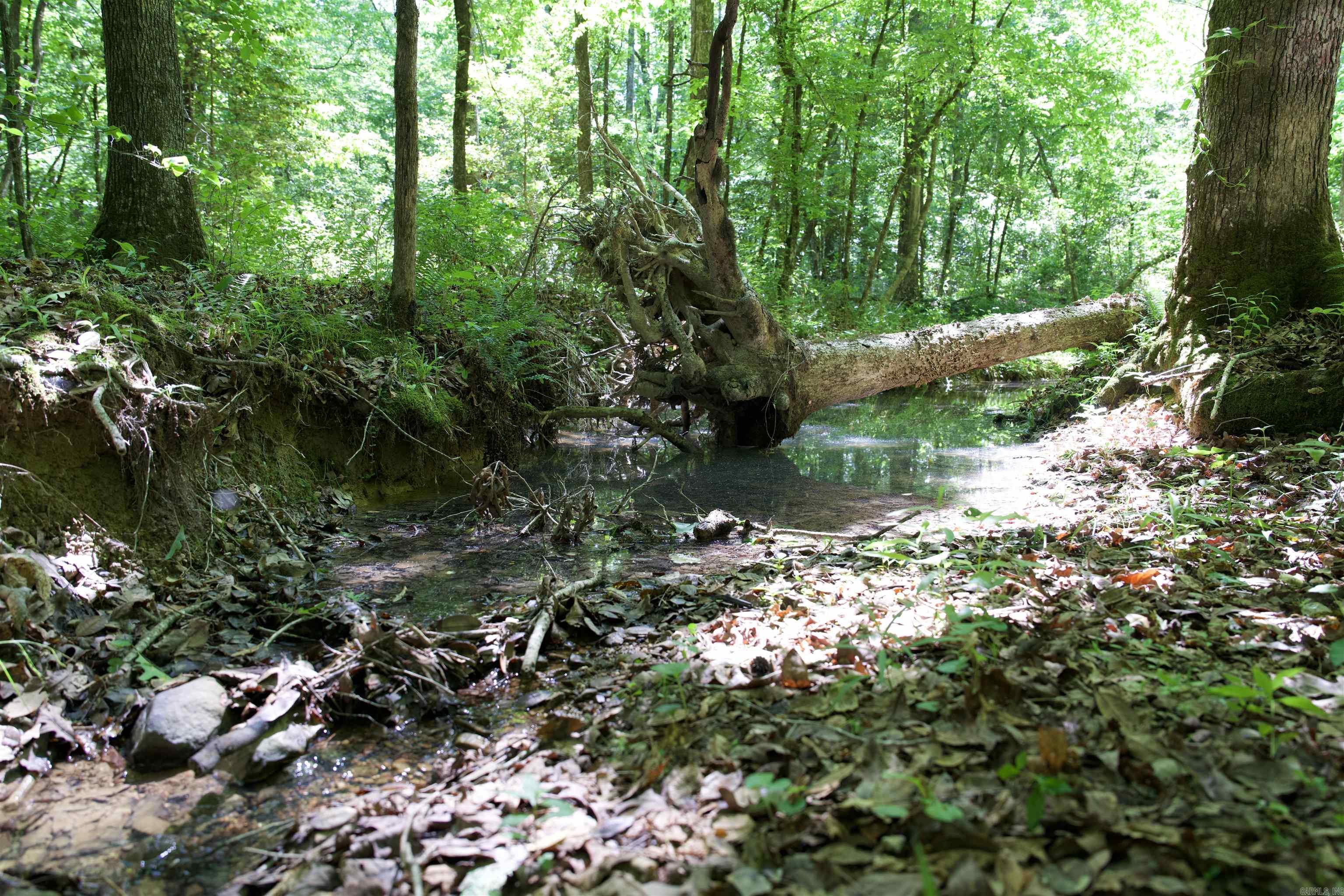 Pike County - Land