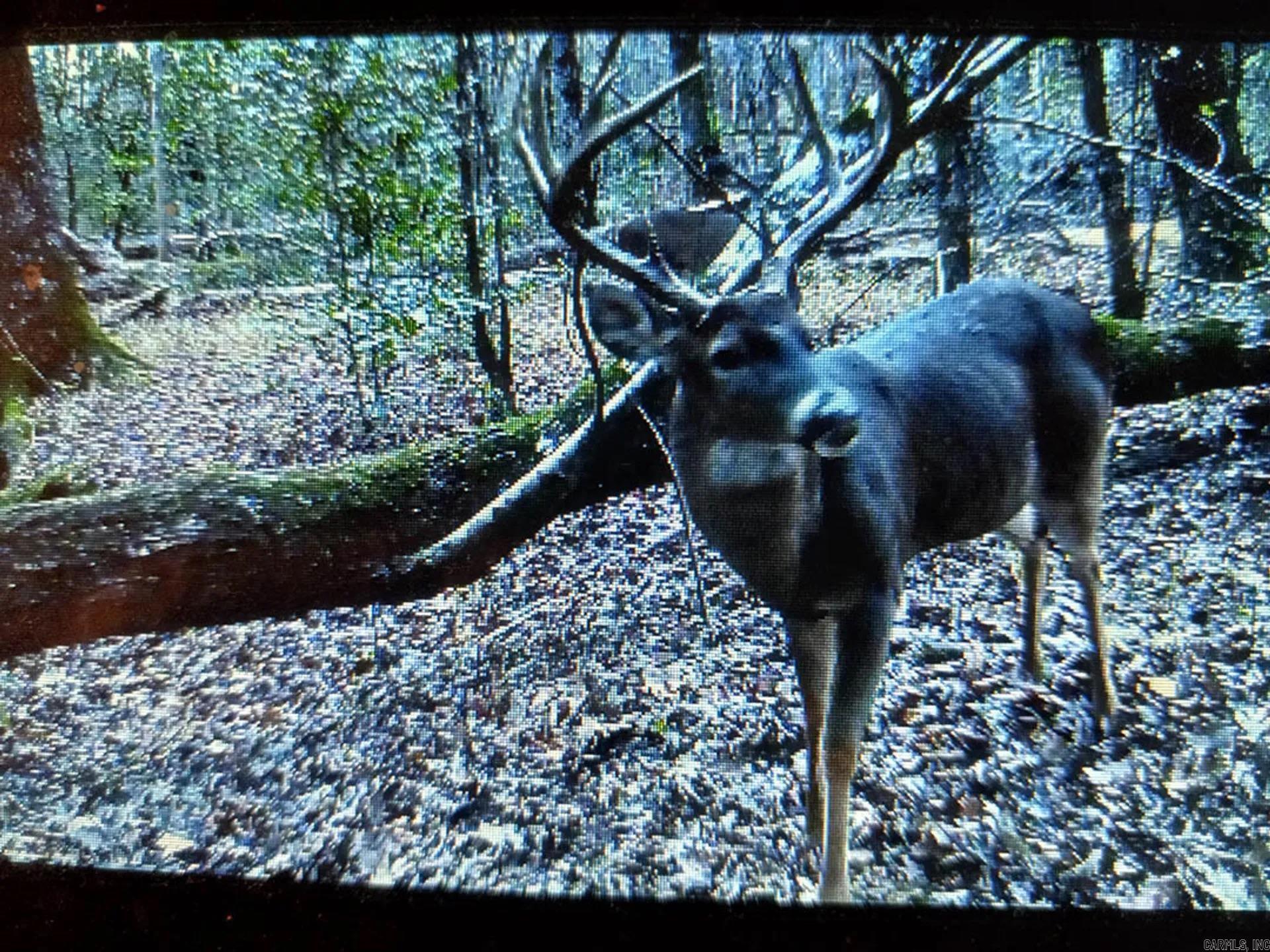Pike County - Land
