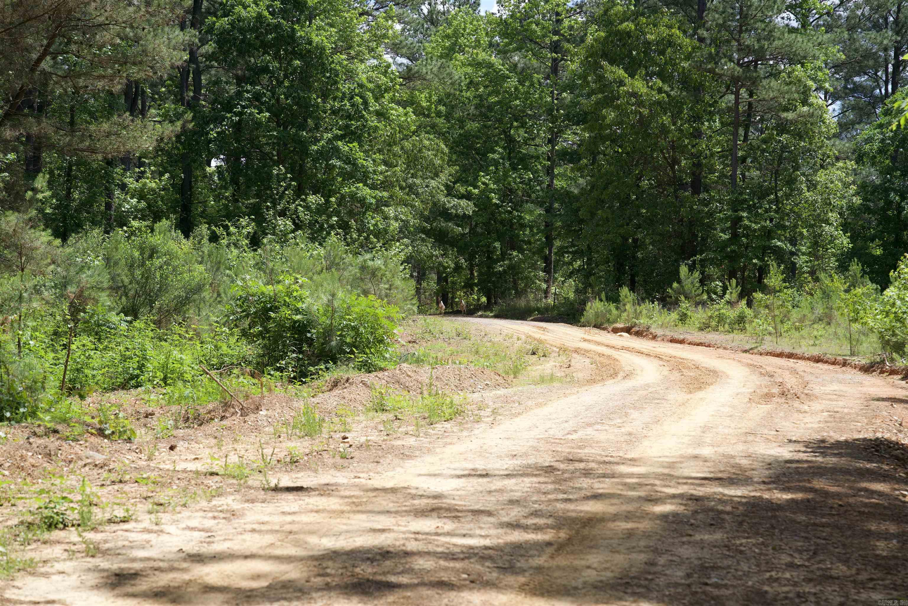 Pike County - Land