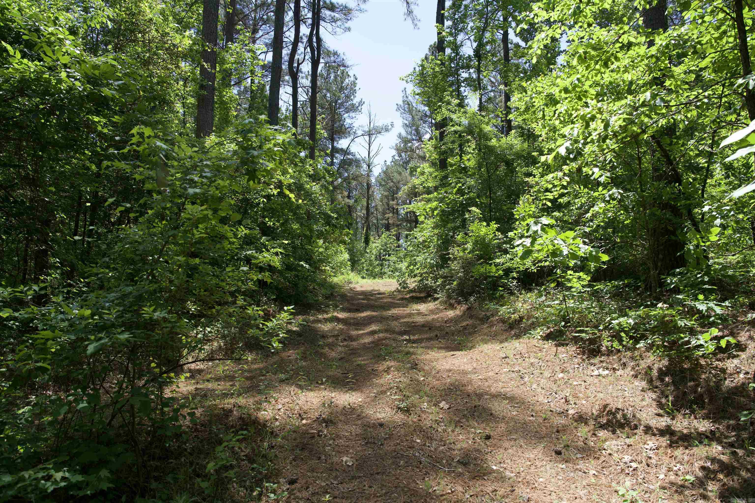 Pike County - Land