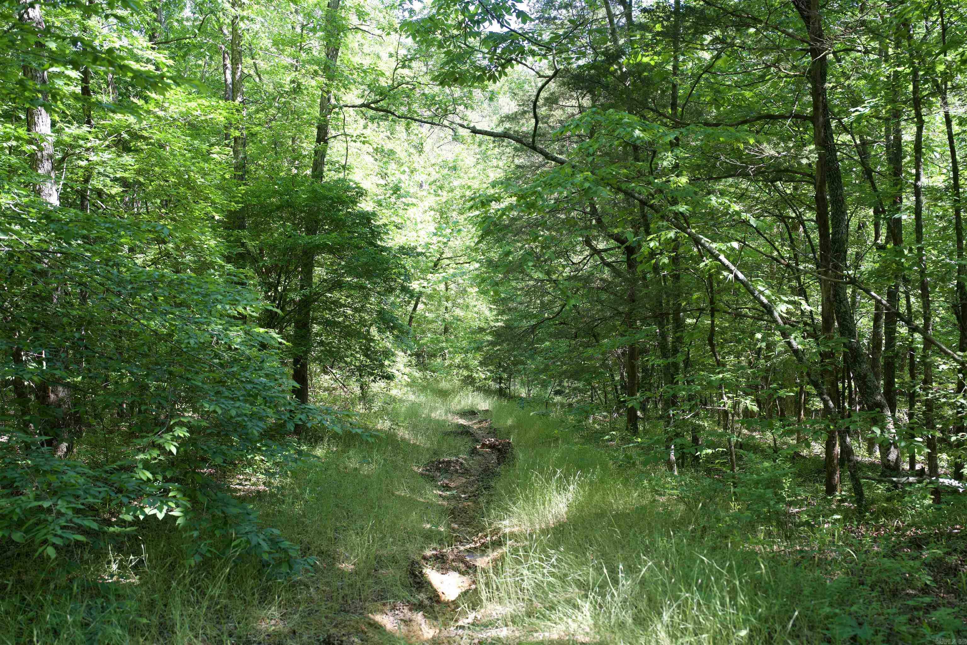 Pike County - Land