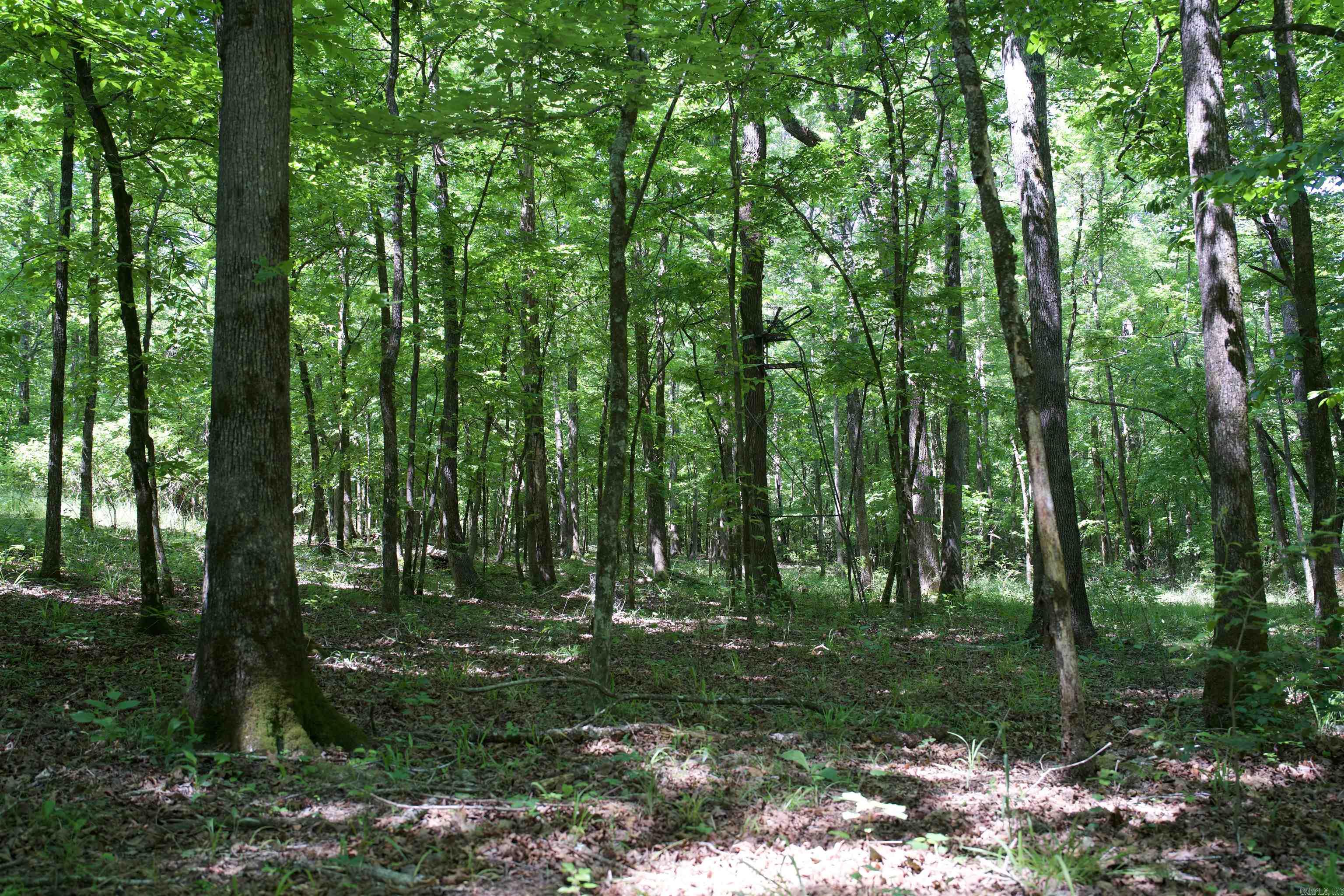 Pike County - Land
