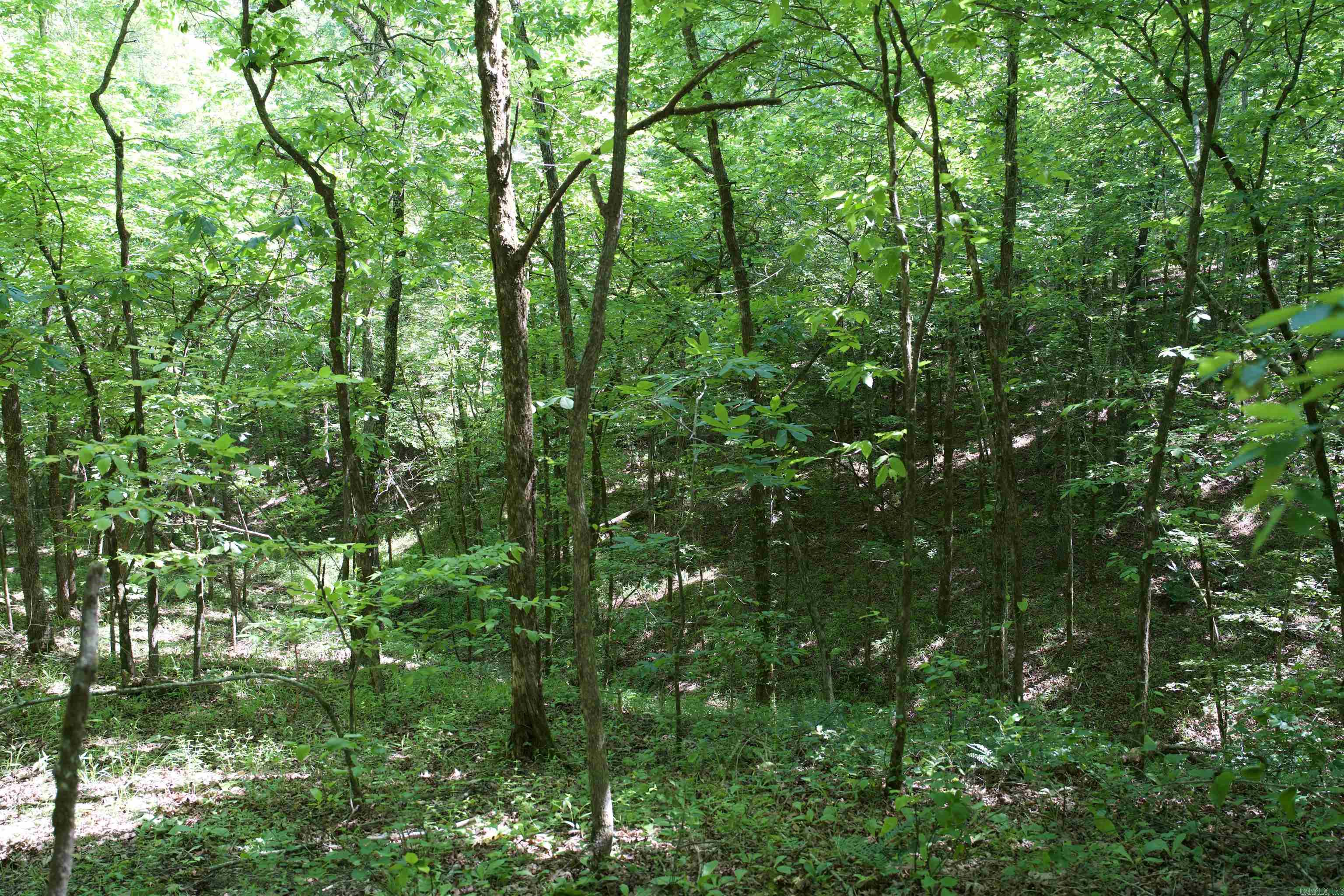 Pike County - Land