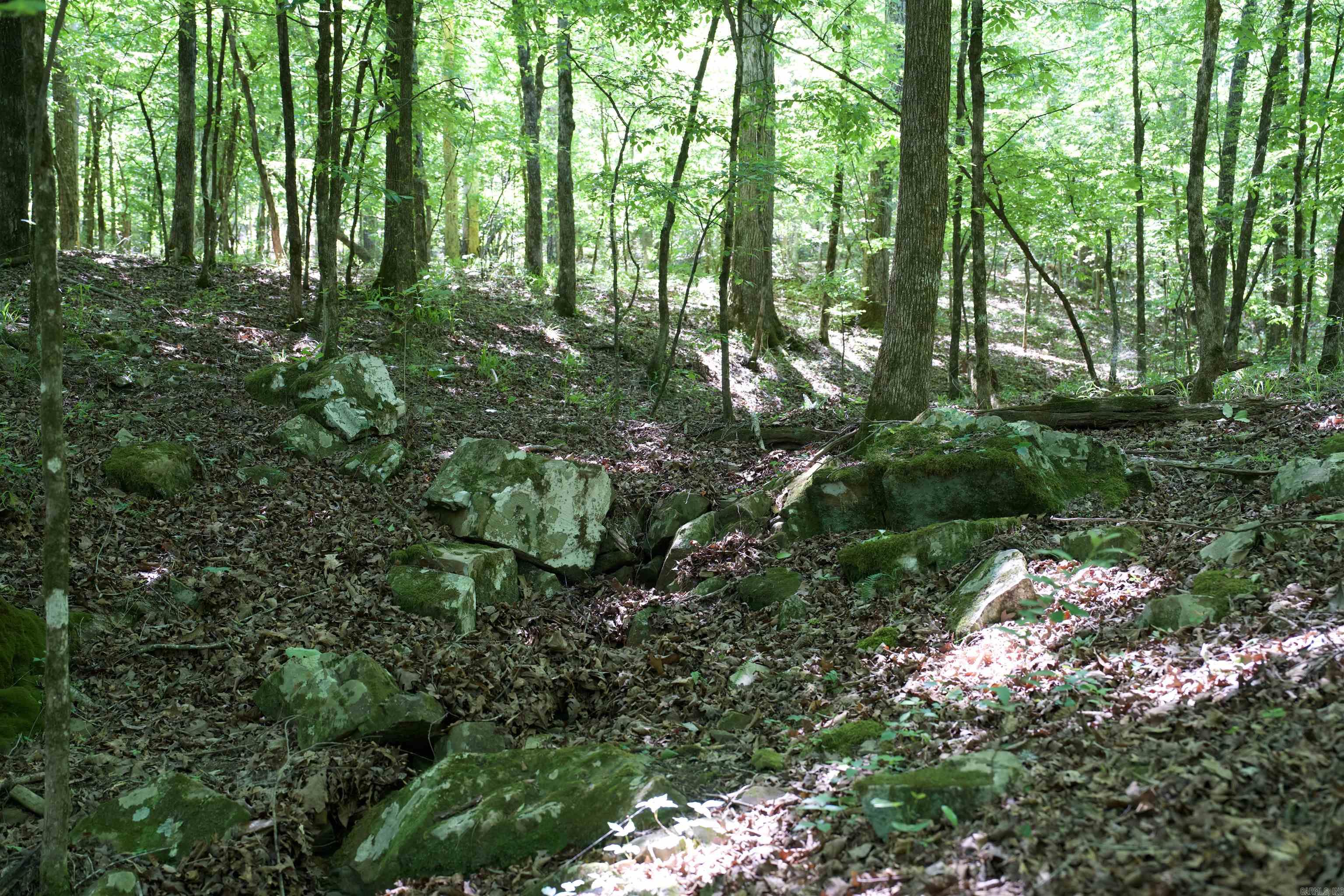 Pike County - Land