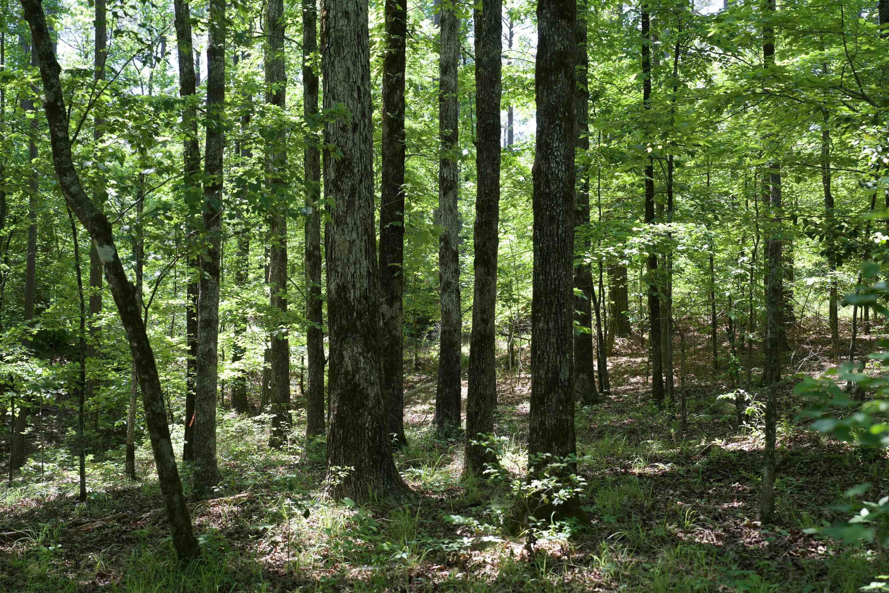 Pike County - Land