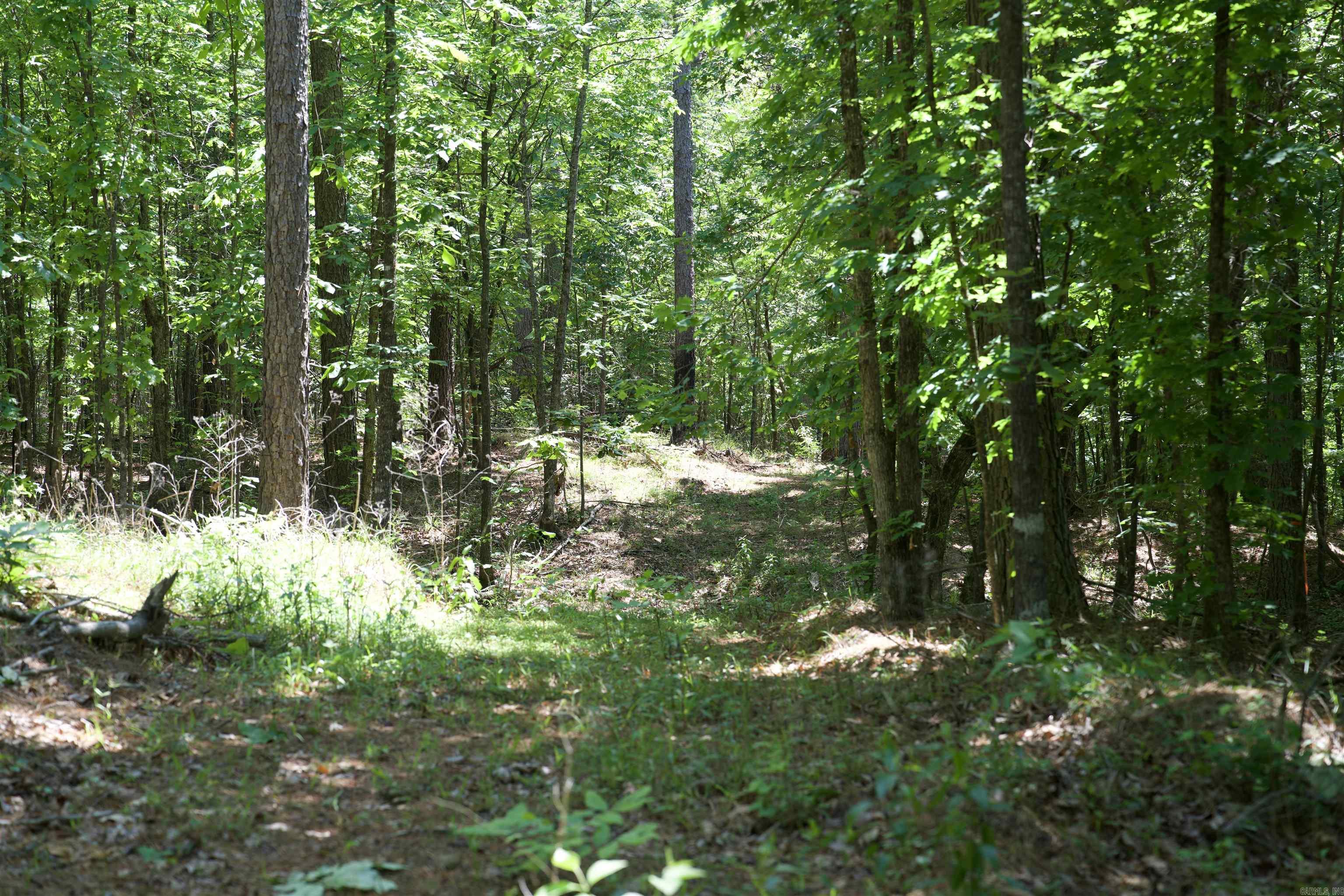 Pike County - Land