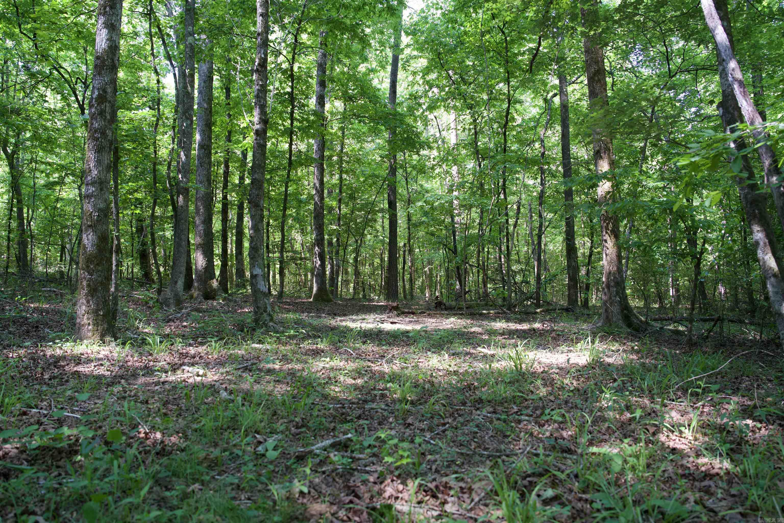 Pike County - Land