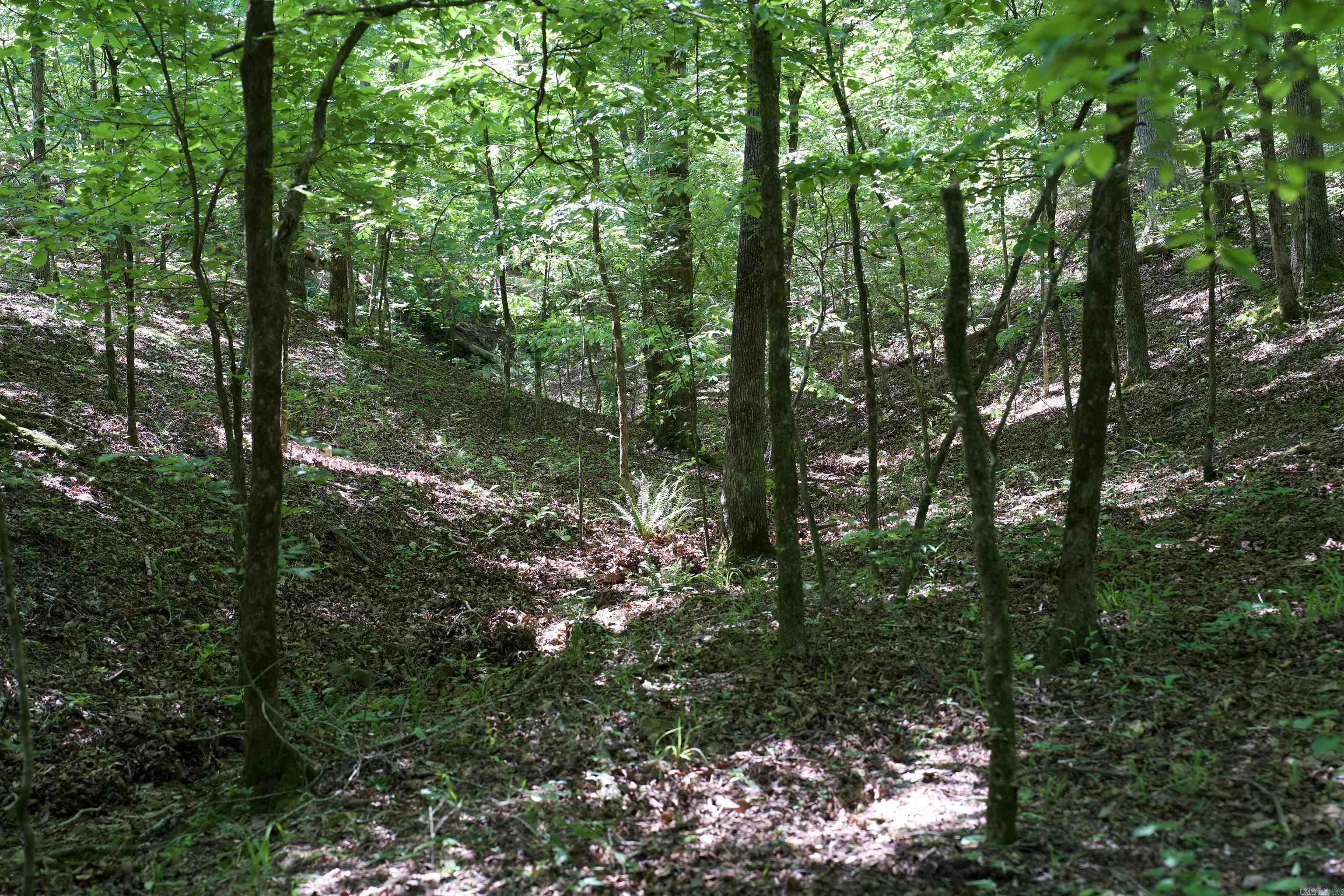 Pike County - Land