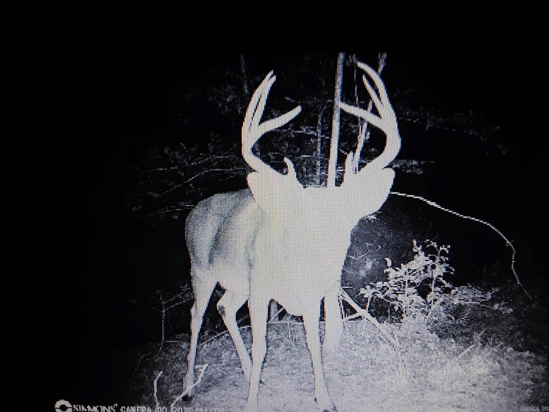 Pike County - Land