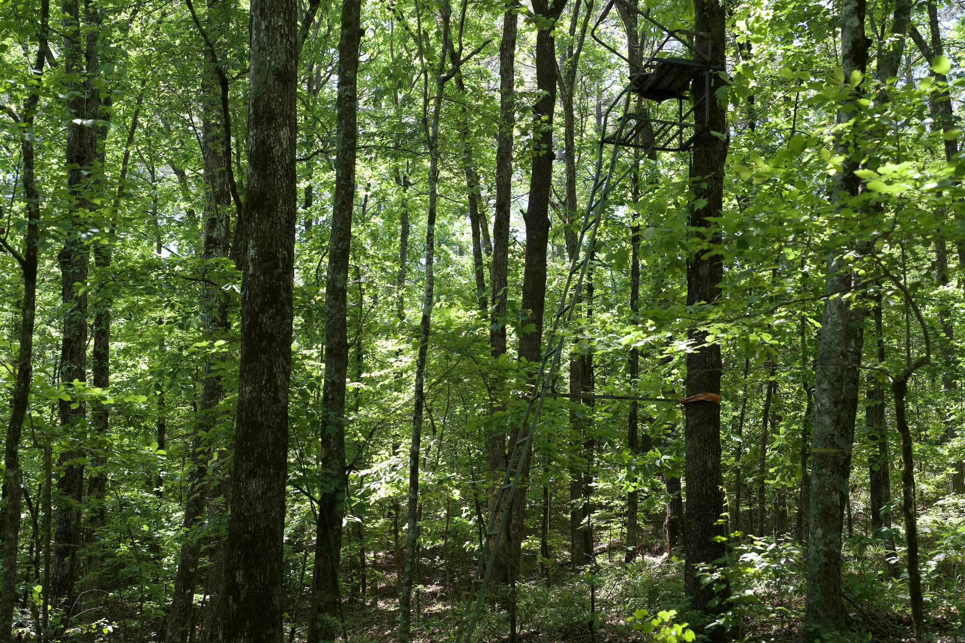 Pike County - Land