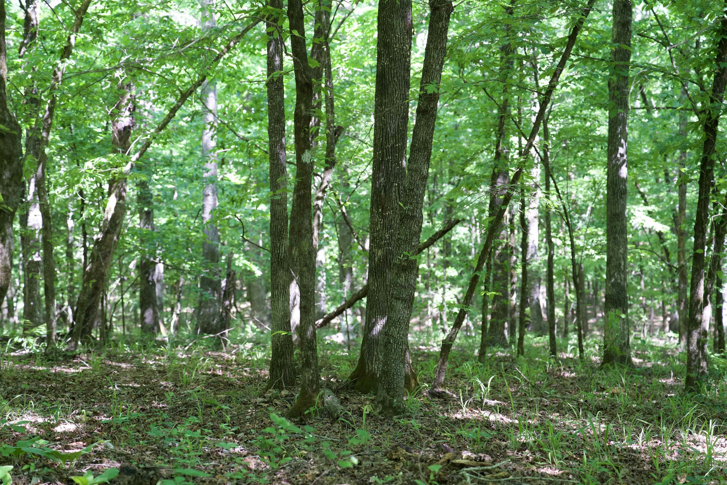 Pike County - Land