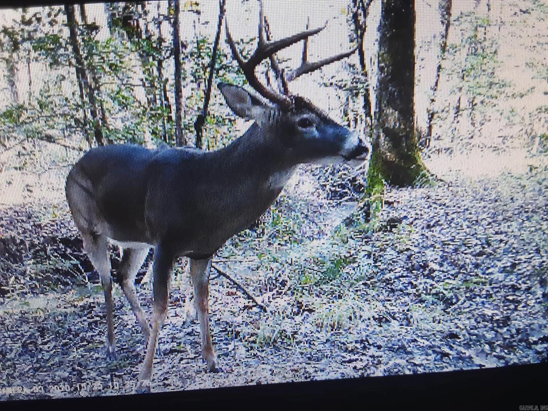 Pike County - Land