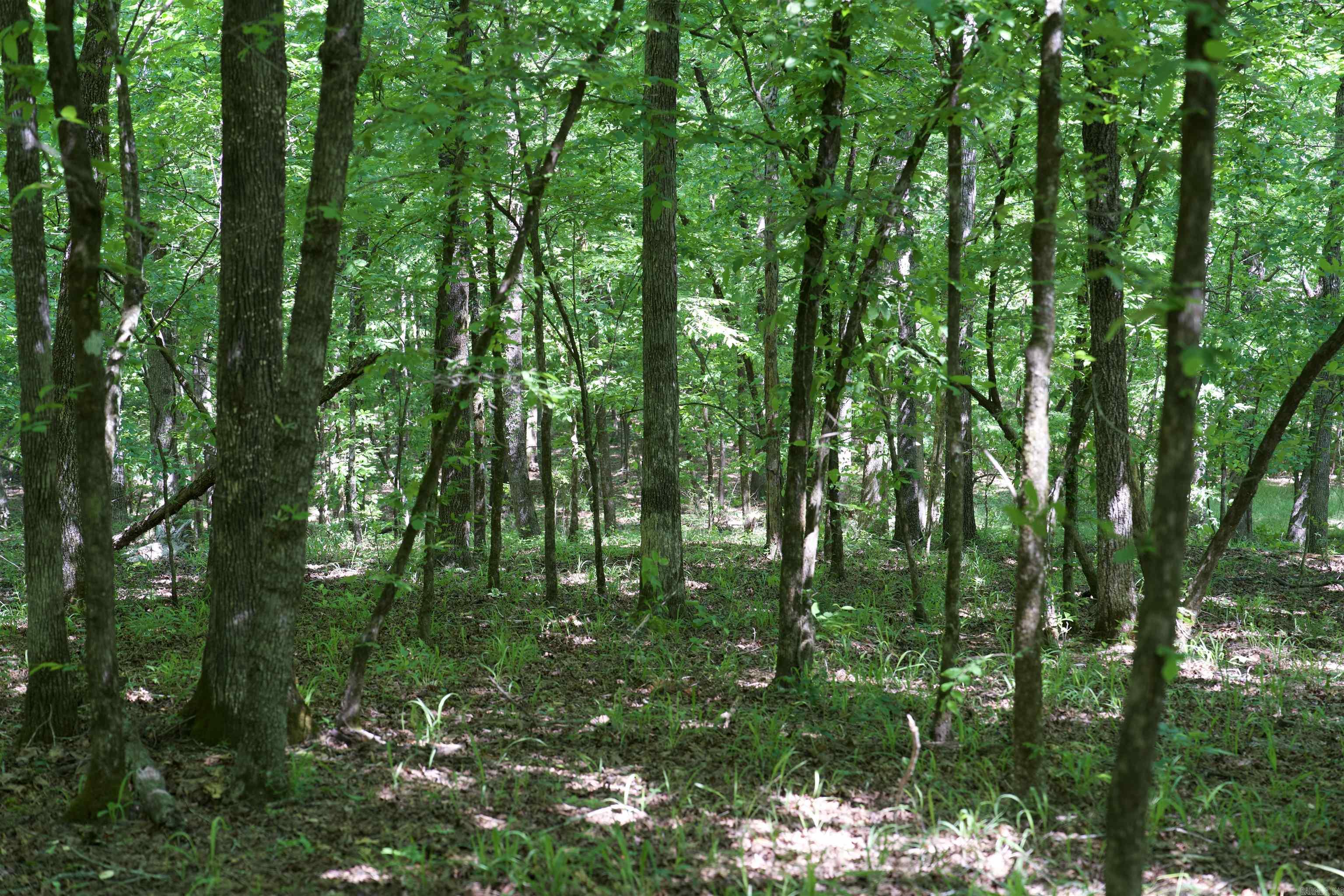 Pike County - Land