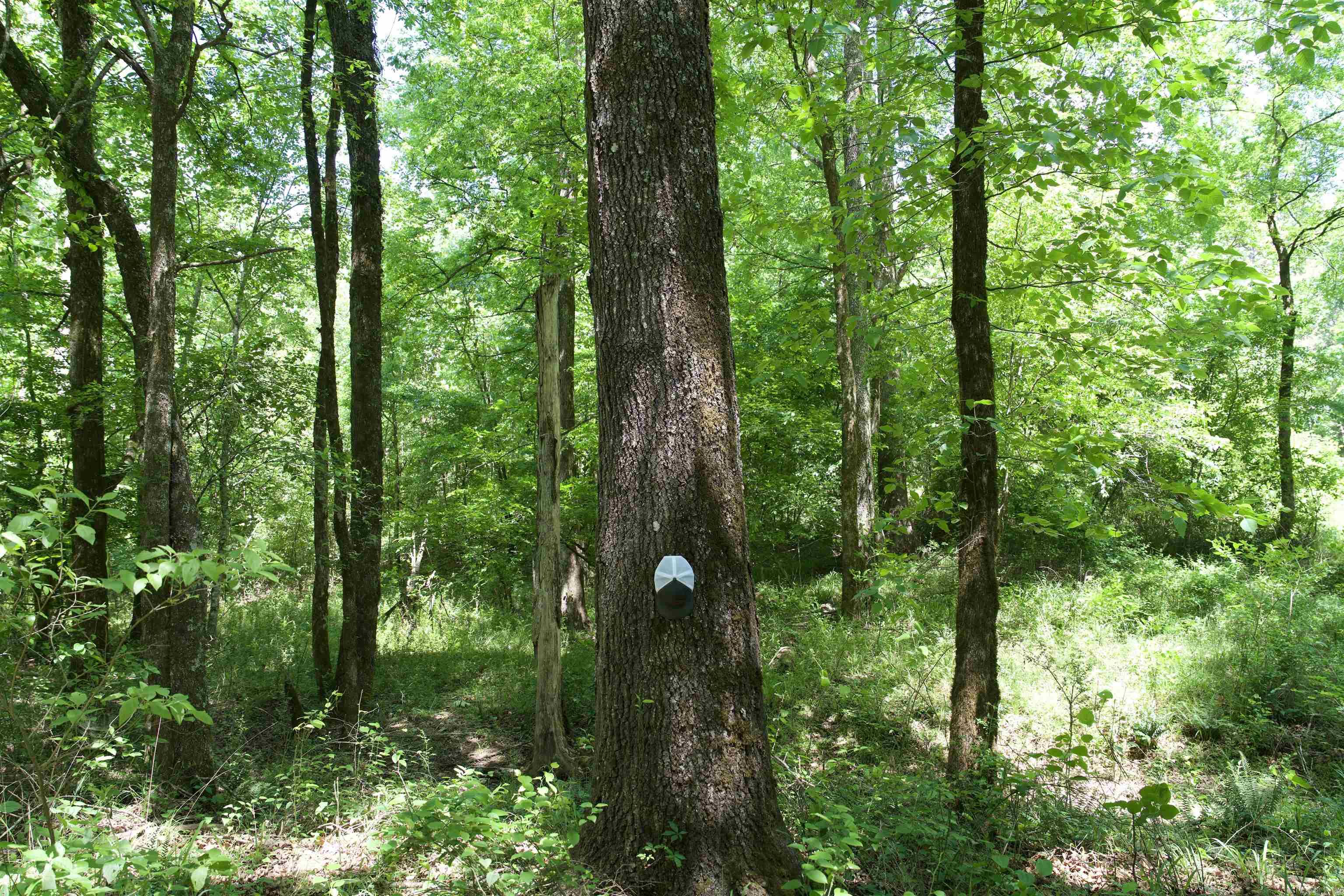 Pike County - Land