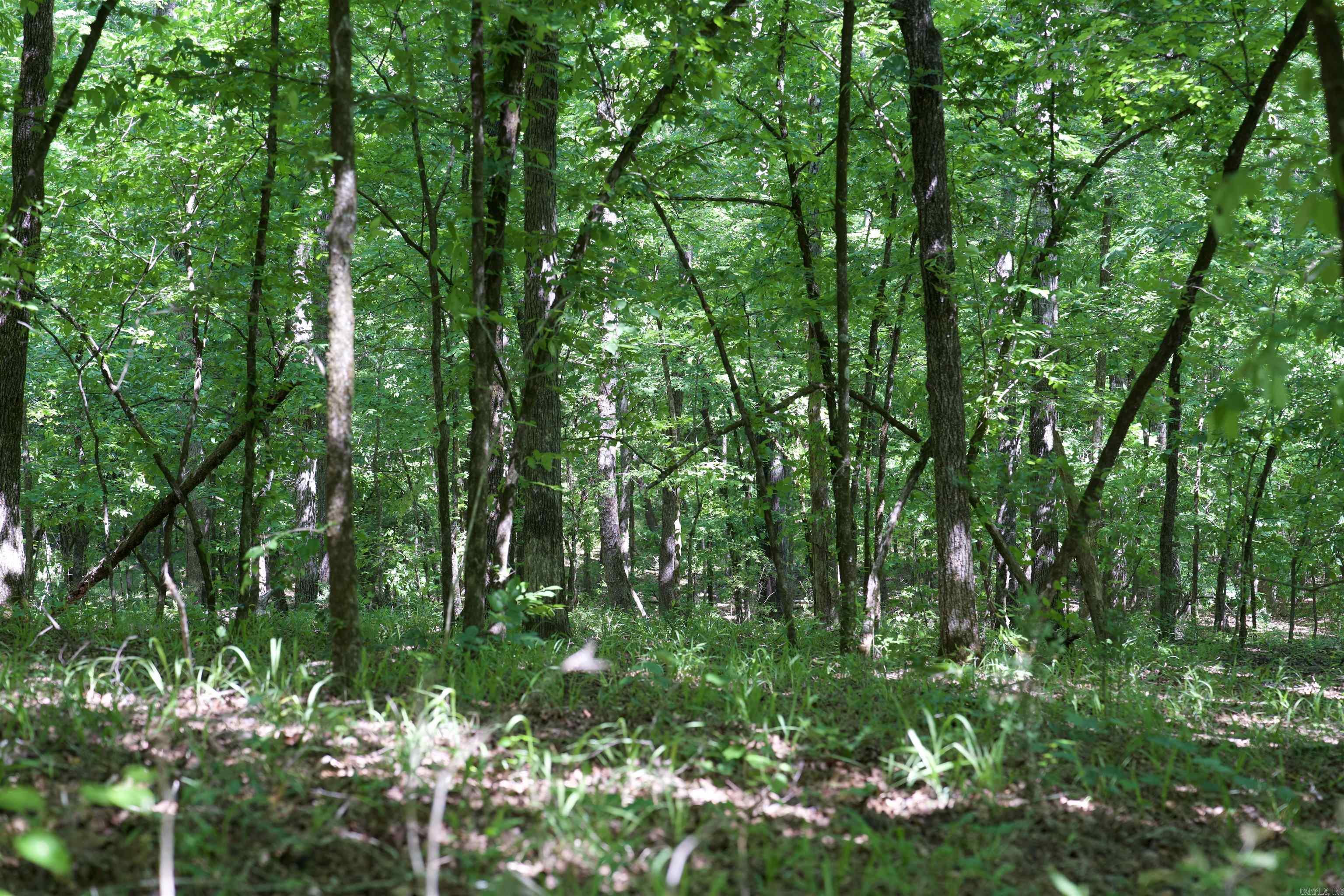 Pike County - Land