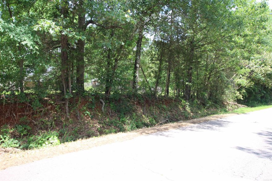 My favorite lot on a terrific road on the line of Dover and Russellville. One of two lots left in the very nice subdivision ready to be developed. I love this lot because it faces Round Rock, it's level and flat and has very nice homes on either side. Homes around it have sold for the mid 300's and would make the perfect location for your new build. We have builders to recommend if you need one.