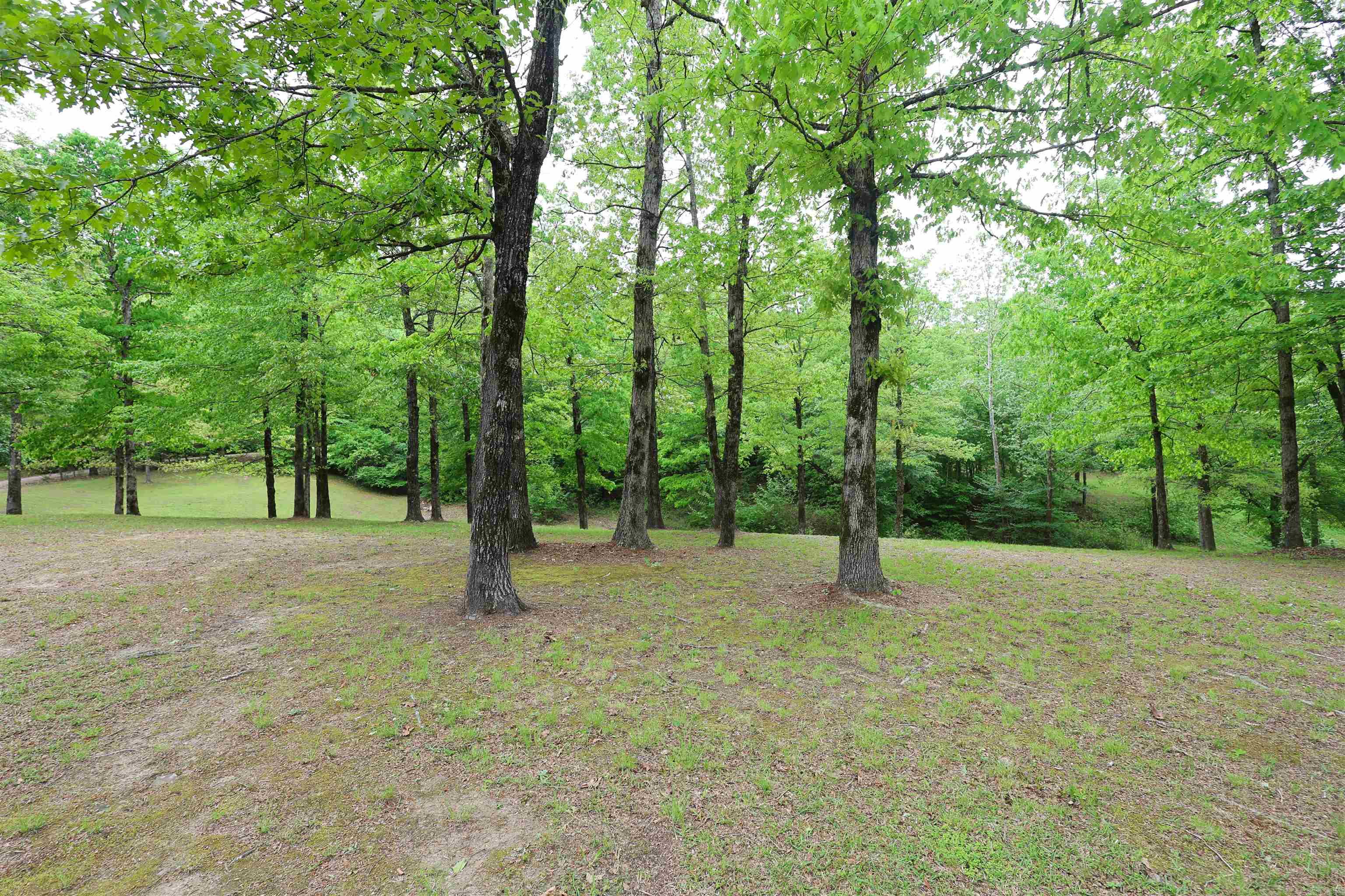 RIVERCHASE - Residential