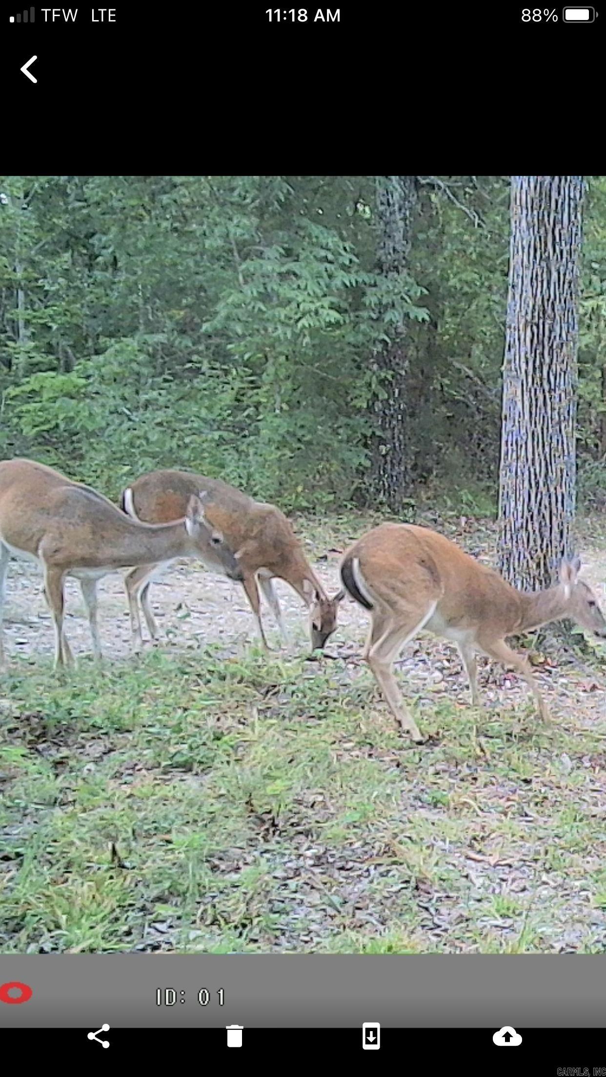 Metes & Bounds - Land