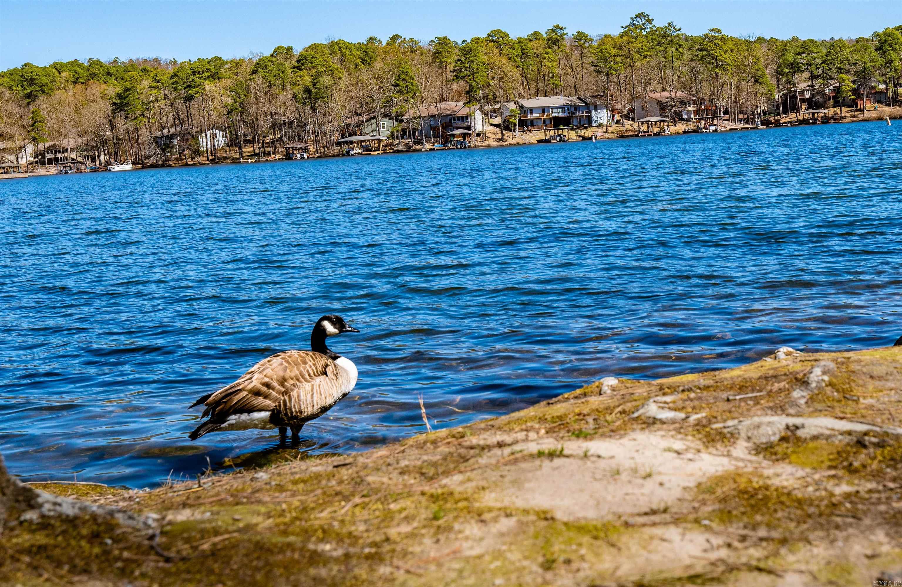 Castellon Courts #2 - Residential