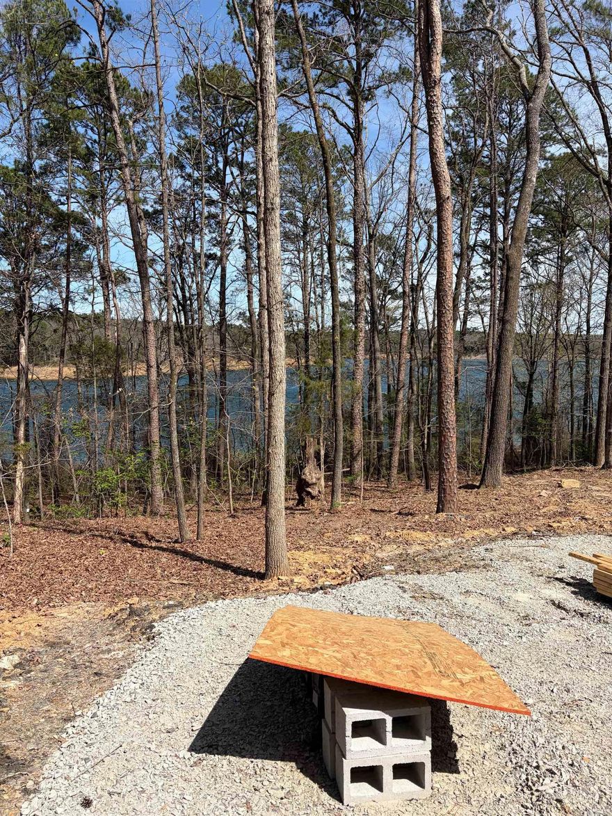 This great 1.14 acres east facing lot it ready for your dream home. The lot has a perc test already for a 3 bedroom and the driveway and the house area is cleared and ready to go. Lake frontage ready for your dream home.