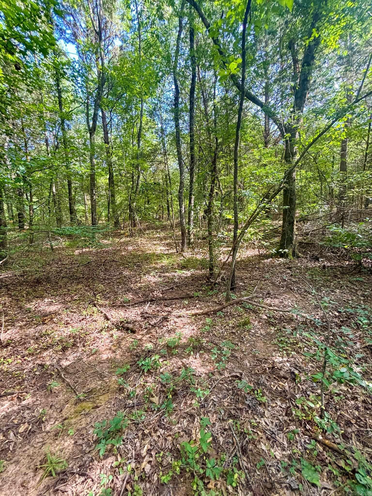 Not in Subdivision - Land