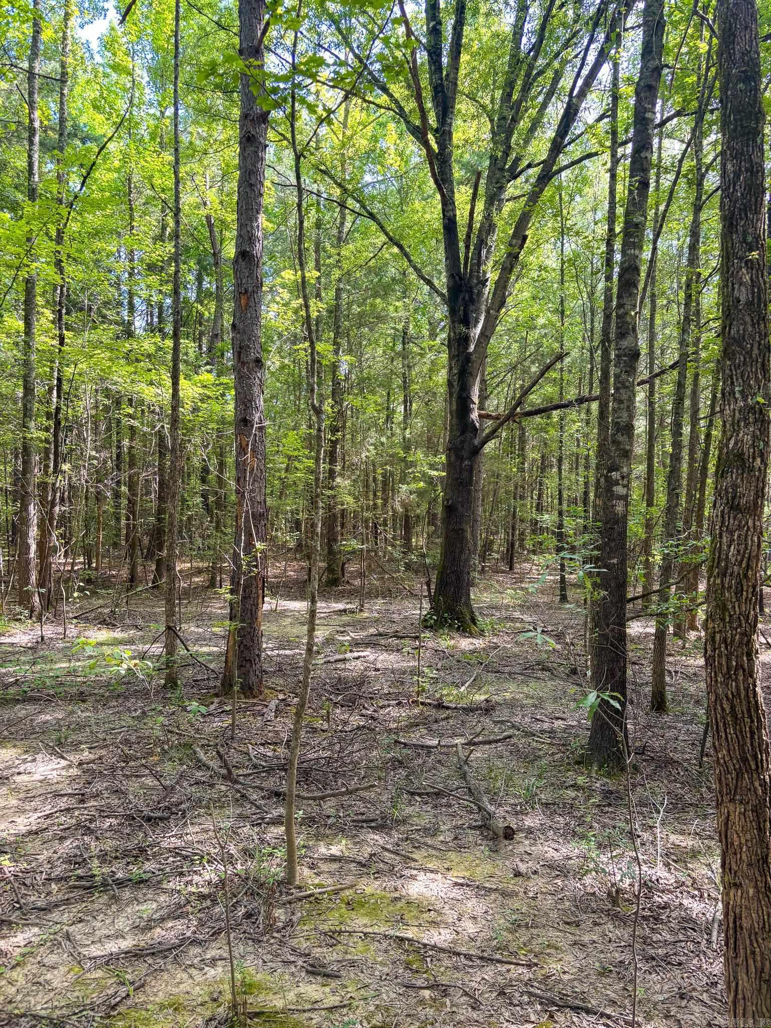 Not in Subdivision - Land