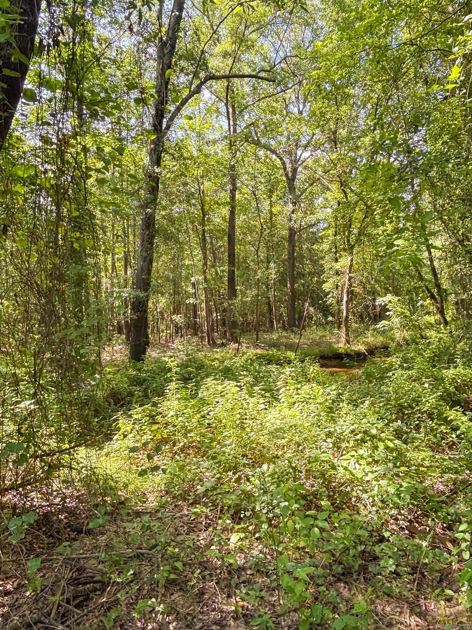 Not in Subdivision - Land