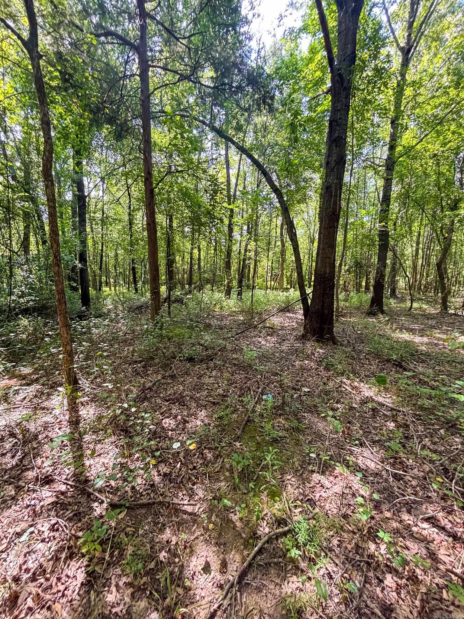 Not in Subdivision - Land