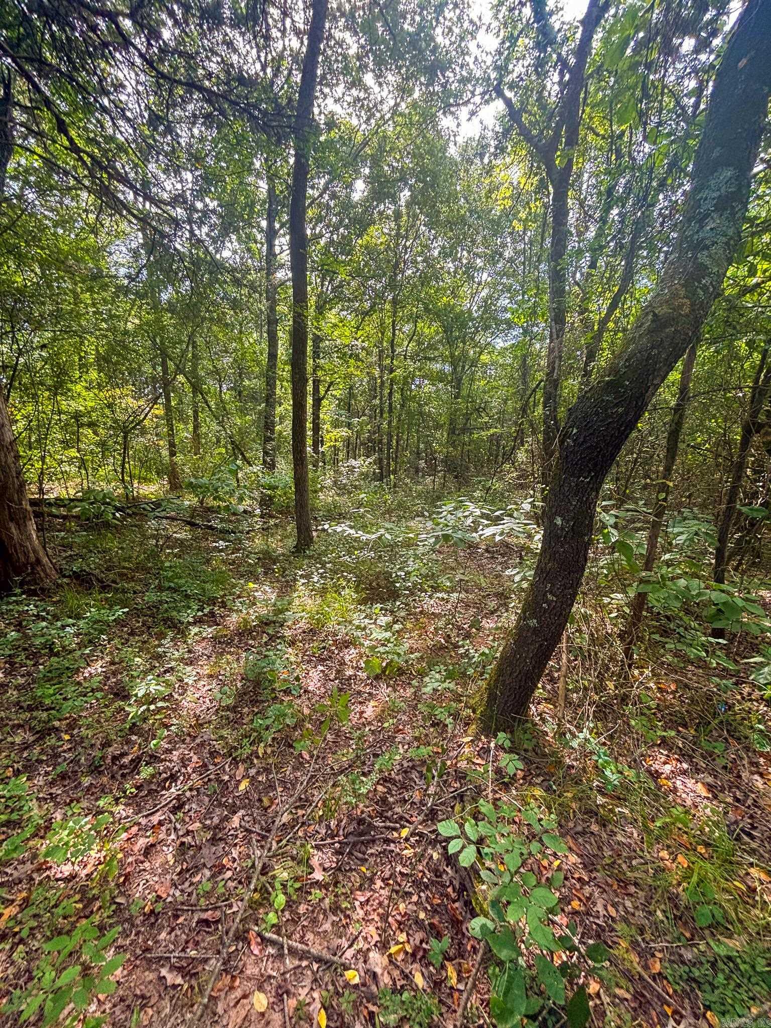 Not in Subdivision - Land