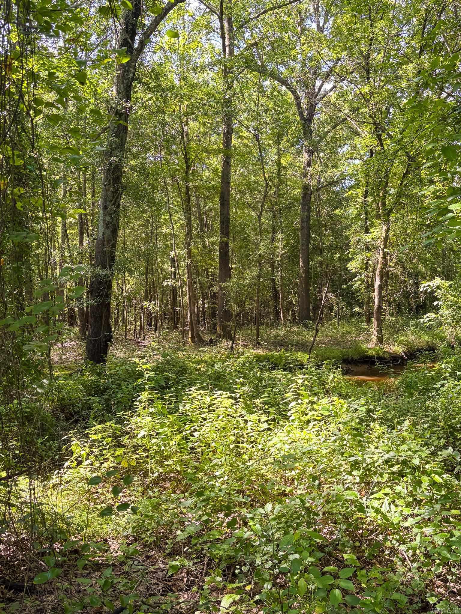 Not in Subdivision - Land