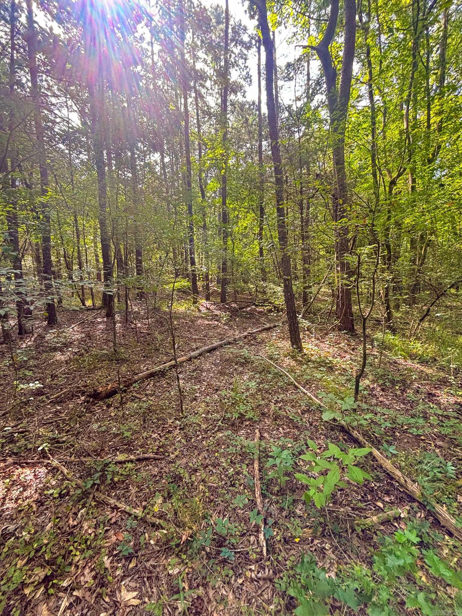 Not in Subdivision - Land