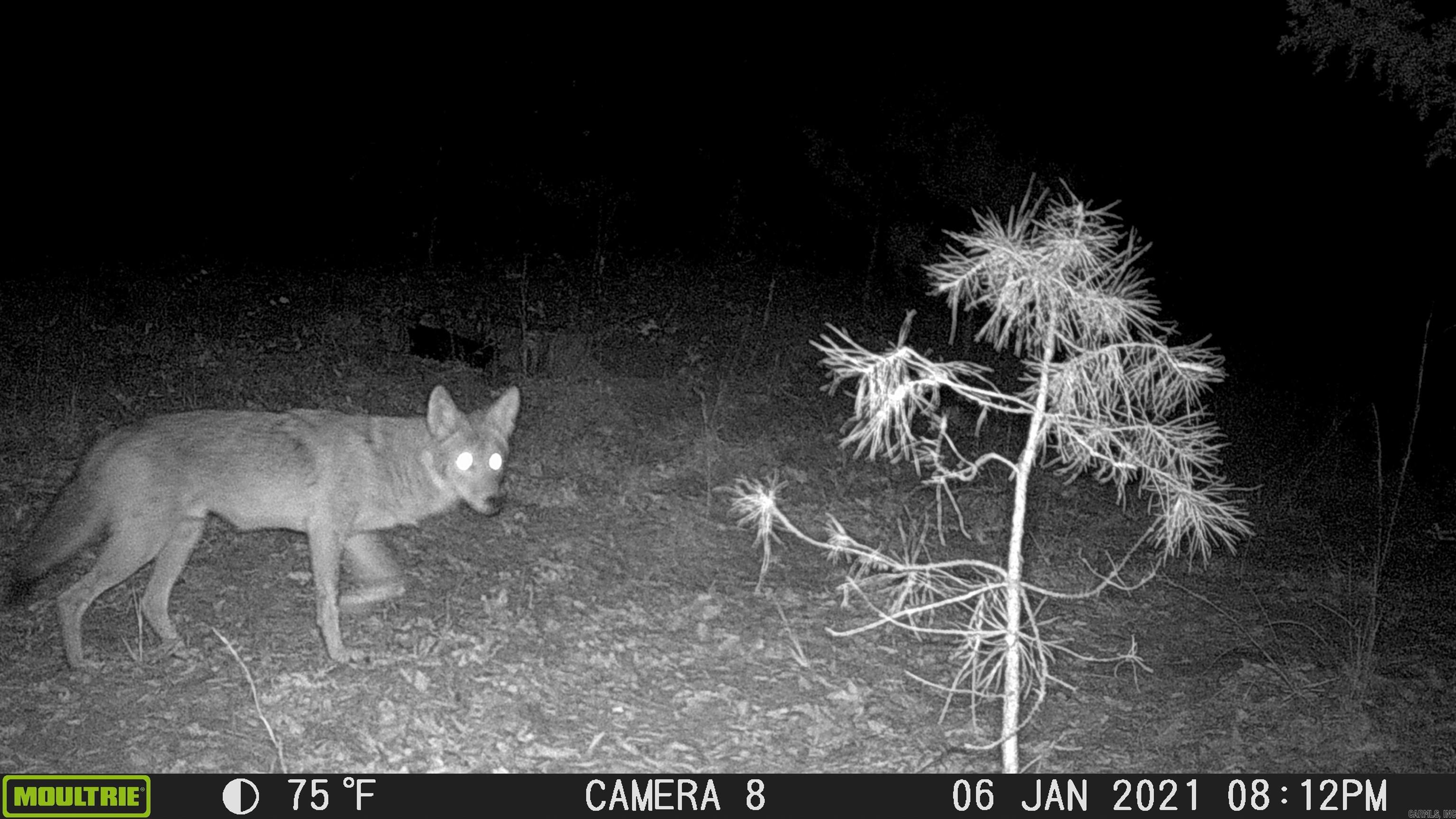 DELAWARE - Residential