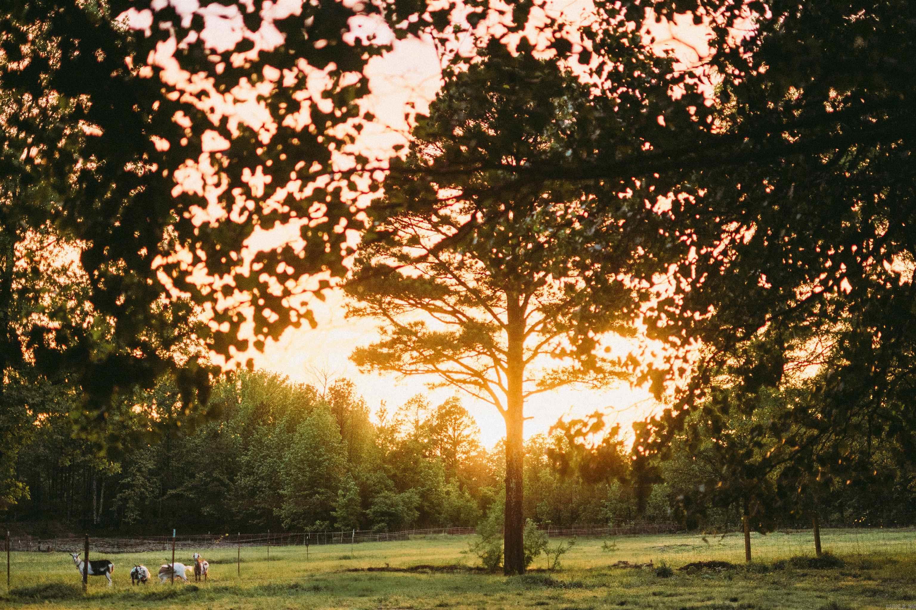 DELAWARE - Residential