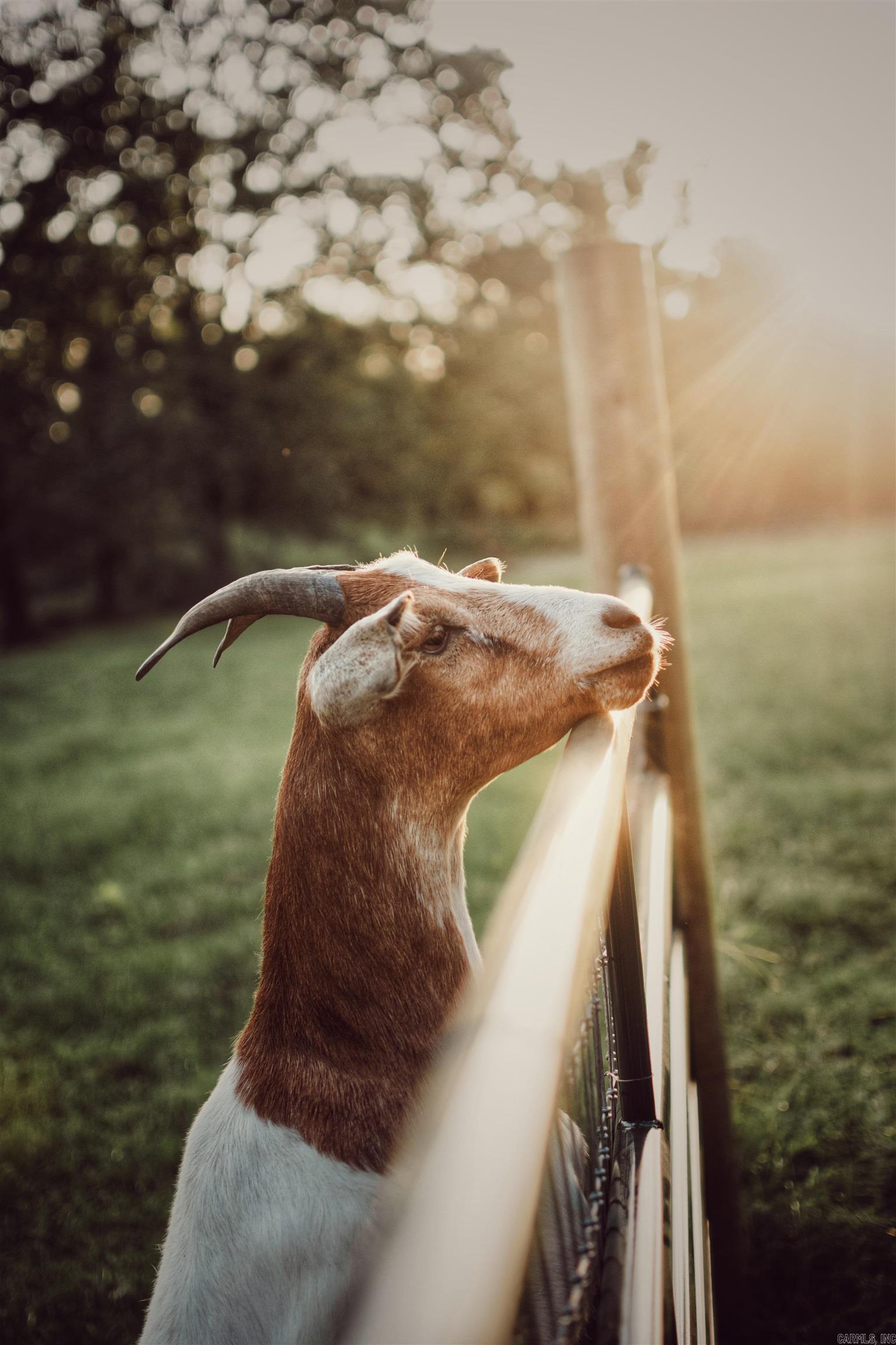 DELAWARE - Residential