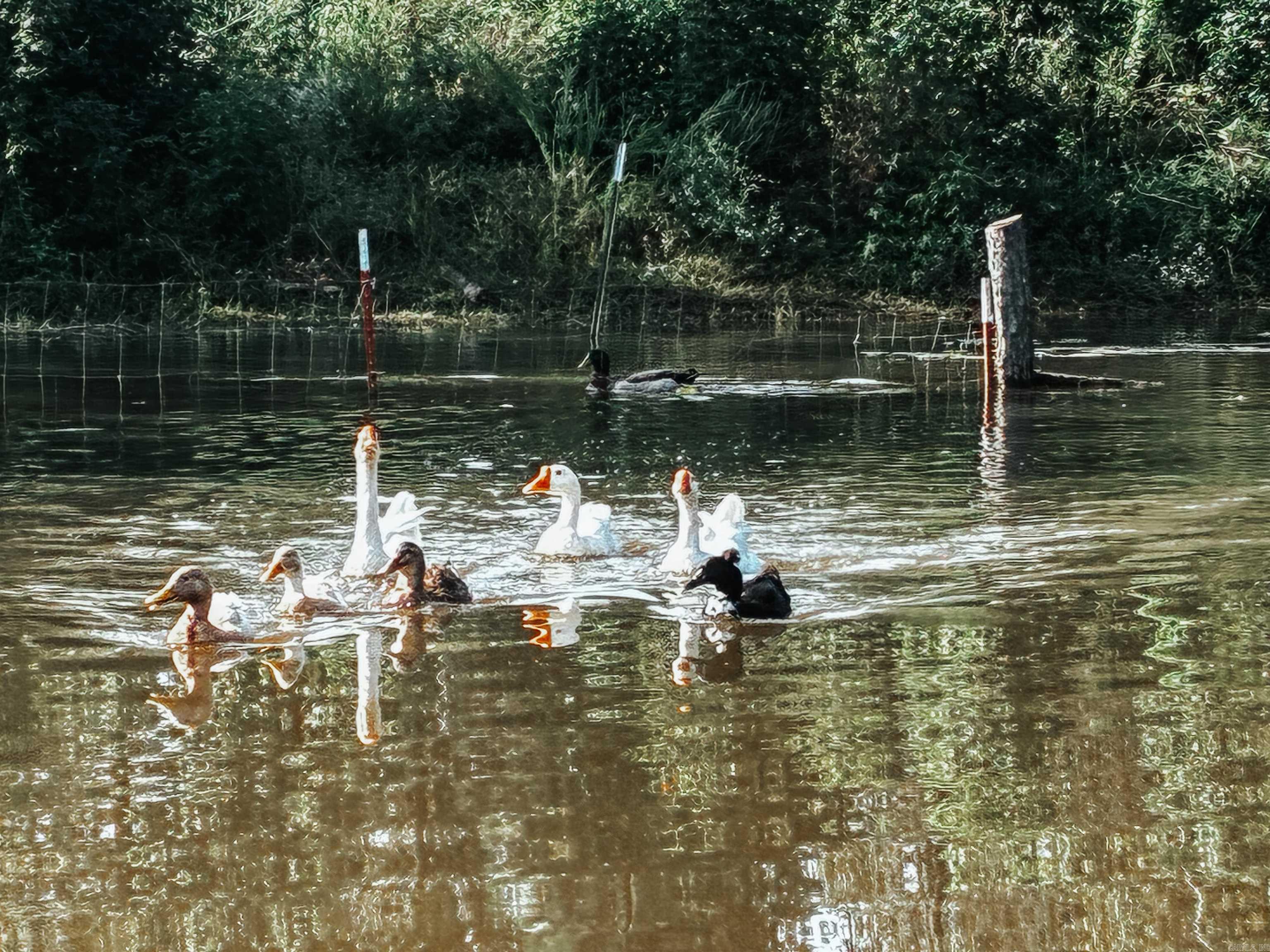 DELAWARE - Residential