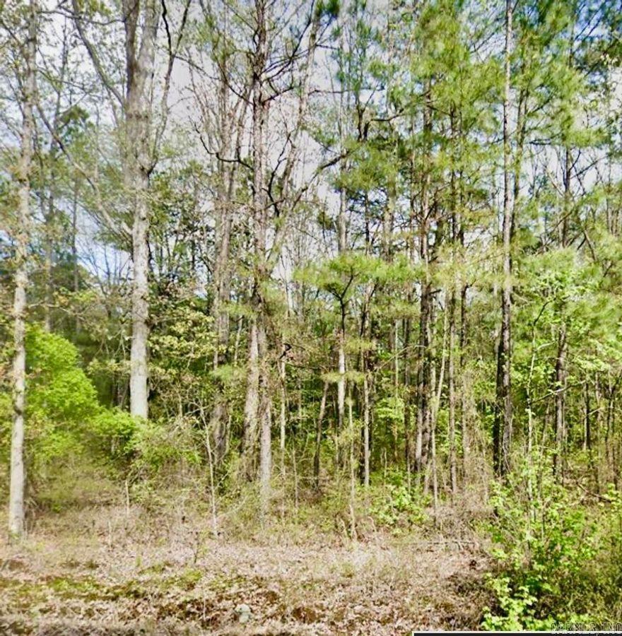 Plenty of room to Play**Take a look at these 20+/- wooded acres**Out of City Limits**No Restrictions**NO Utilities on property**close to I-530**Go & take a look**don't miss out